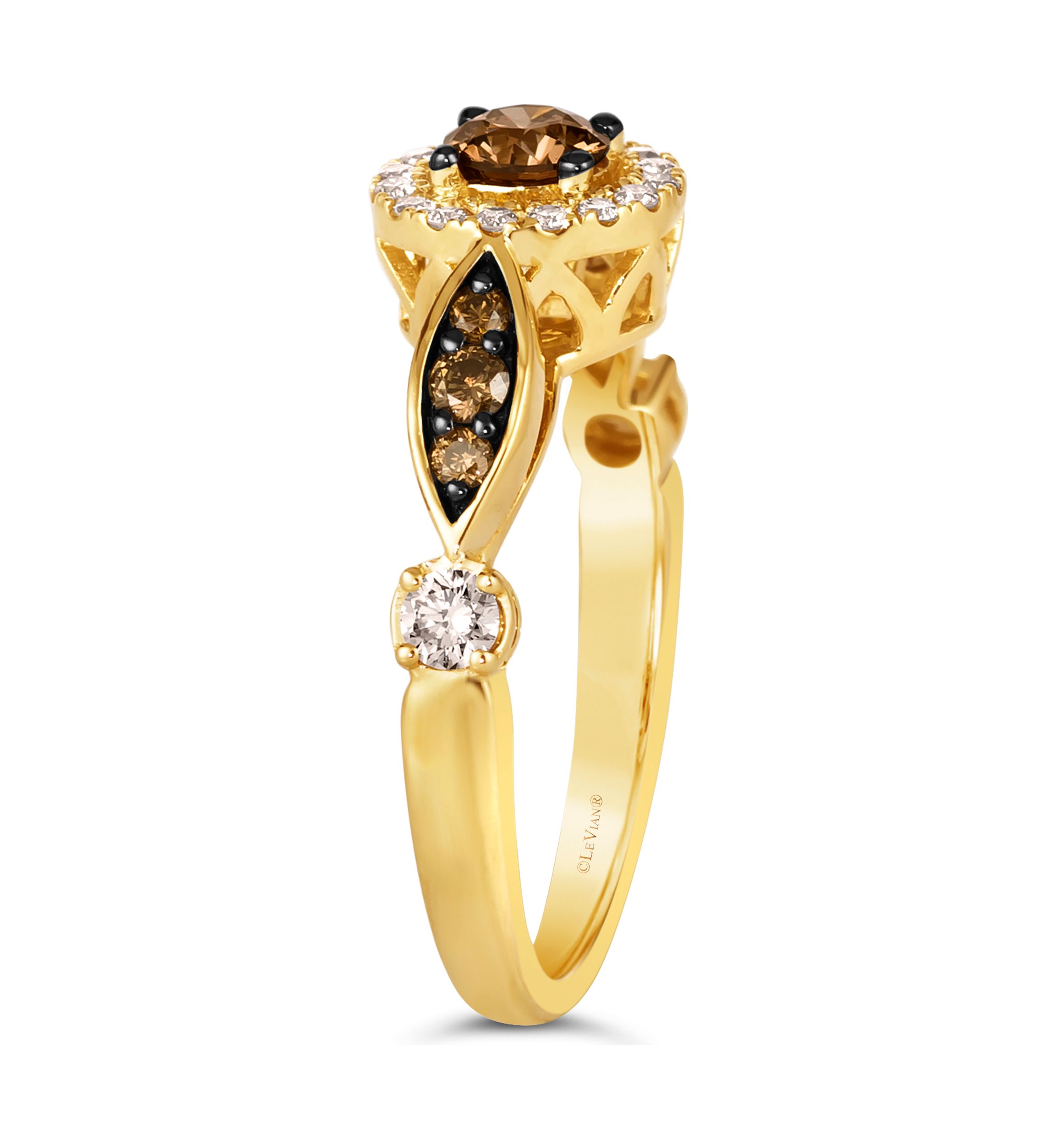 1/2 ct. t.w. Chocolate Diamonds®, 1/4 ct. t.w. Nude Diamonds™ Ring in 14K Honey Gold™