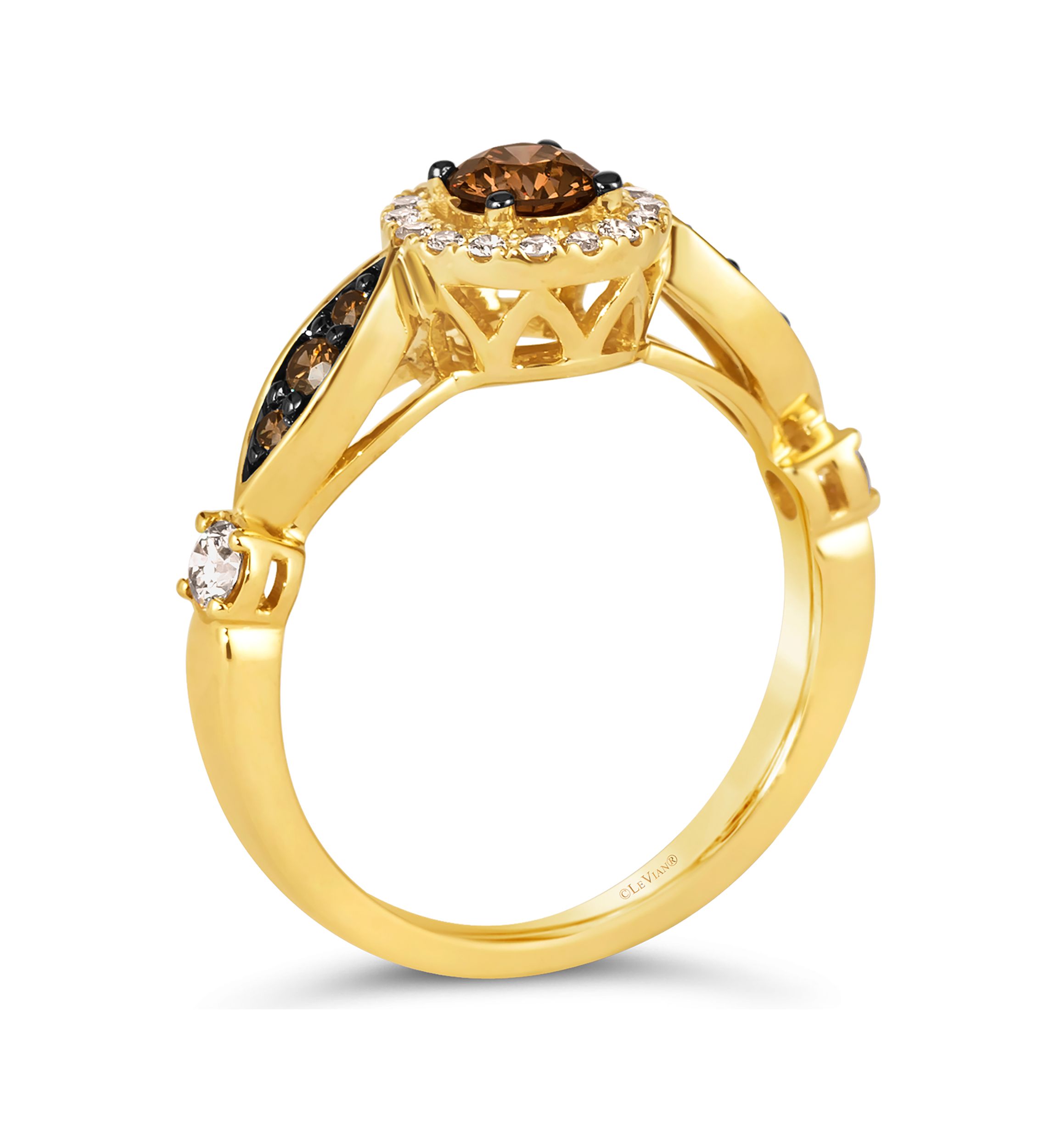 1/2 ct. t.w. Chocolate Diamonds®, 1/4 ct. t.w. Nude Diamonds™ Ring in 14K Honey Gold™