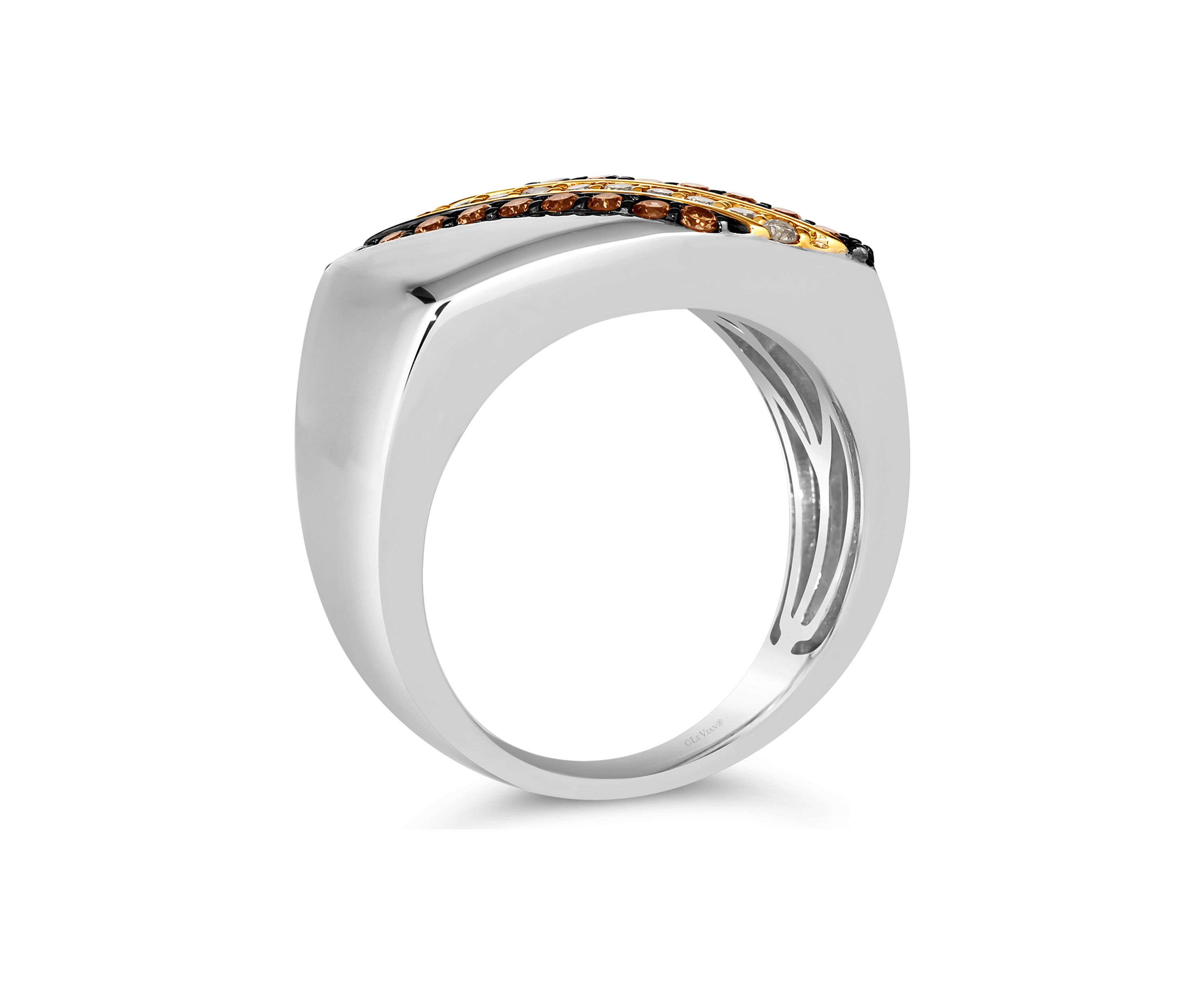 Mens Ring featuring 3/8 ct. t.w. Chocolate Diamonds®, 1/5 ct. t.w. Nude Diamonds™  in Sterling Silver and Honey Gold™