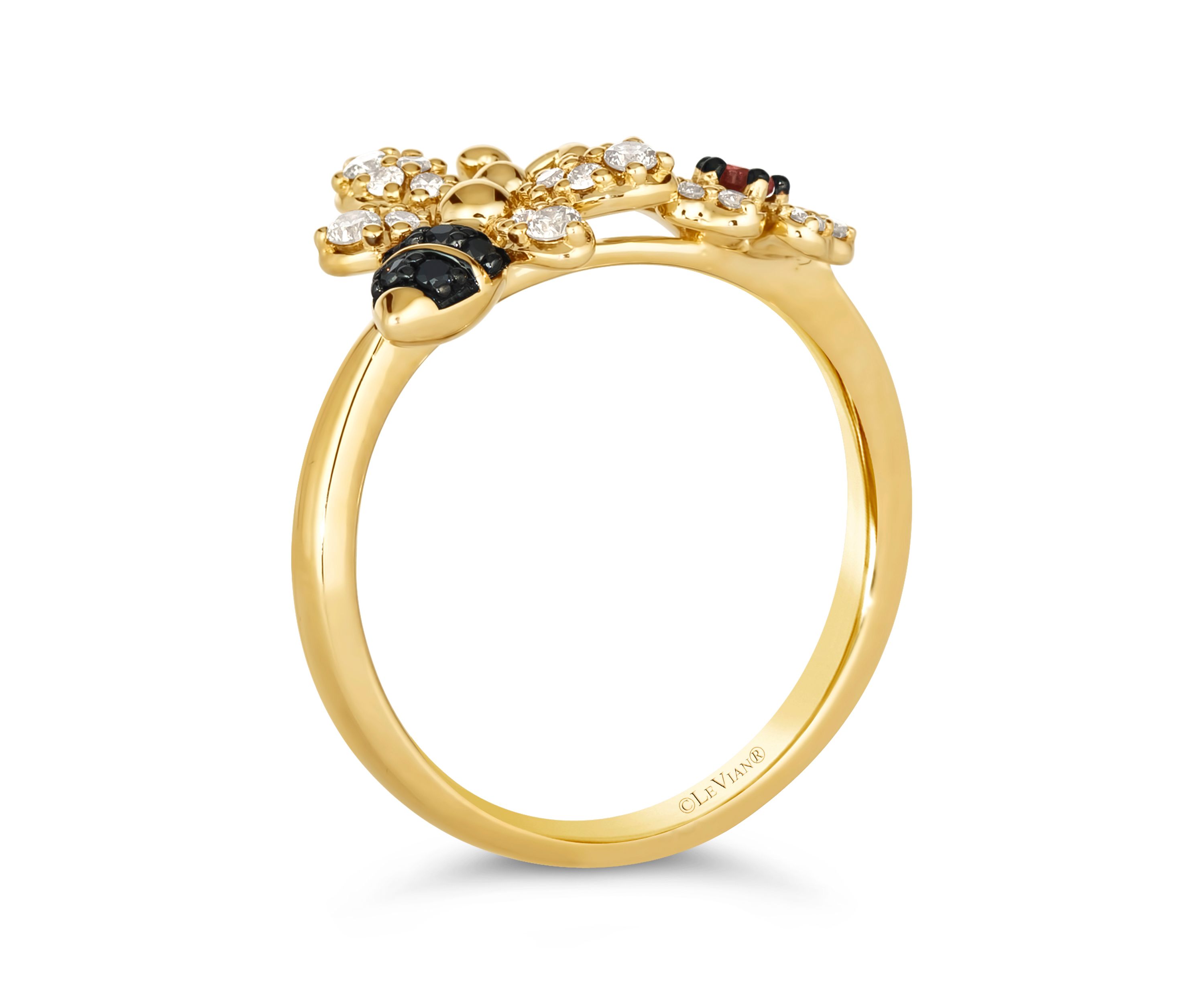 1/10 ct. t.w. Raspberry Rhodolite®, 1/4 ct. t.w. Nude Diamonds™, 1/10 ct. t.w. Blackberry Diamonds® Ring set in 14K Honey Gold™