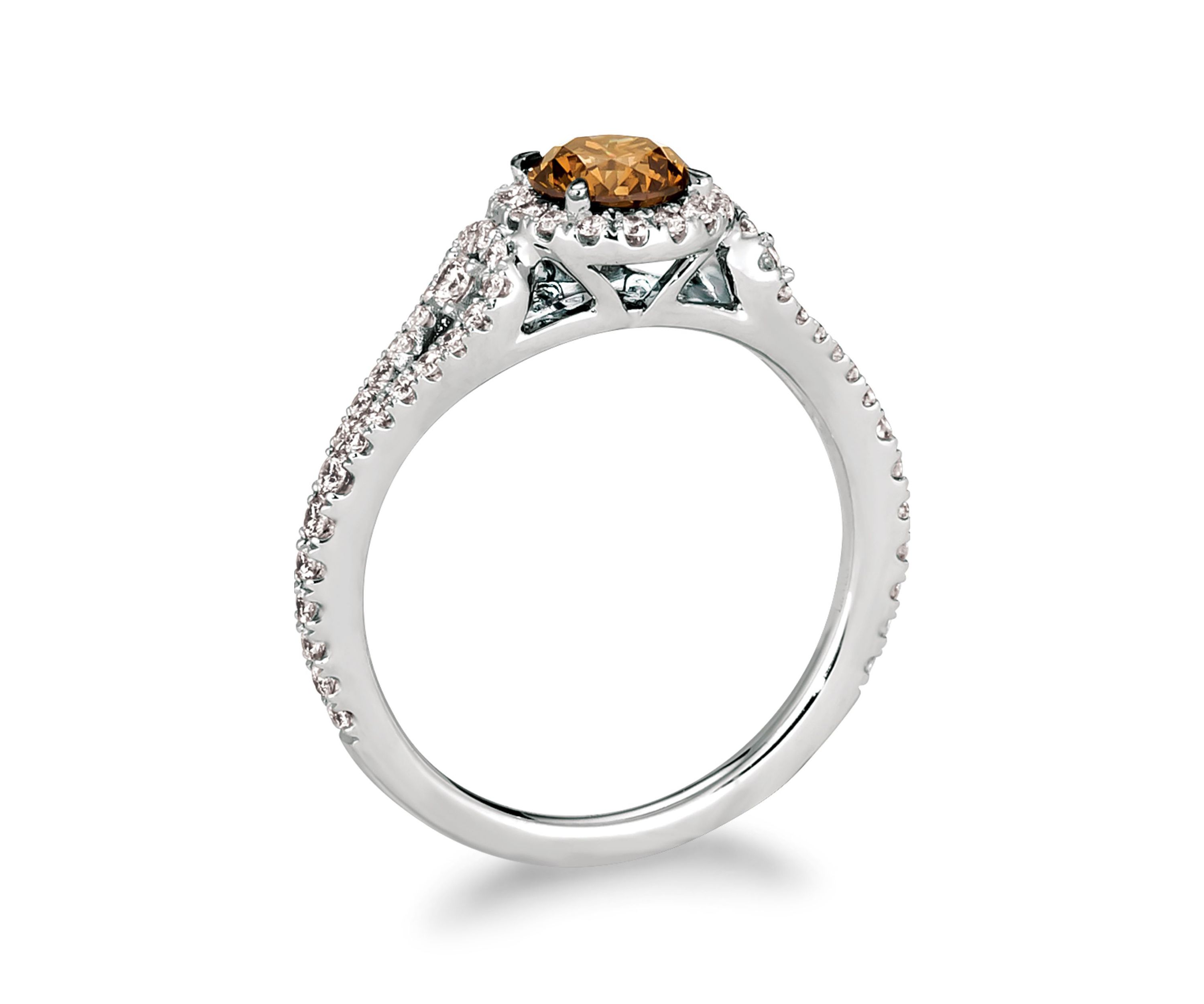 3/4 ct. t.w. Chocolate Diamonds®, 1/2 ct. t.w. Vanilla Diamonds® Ring in Platinum