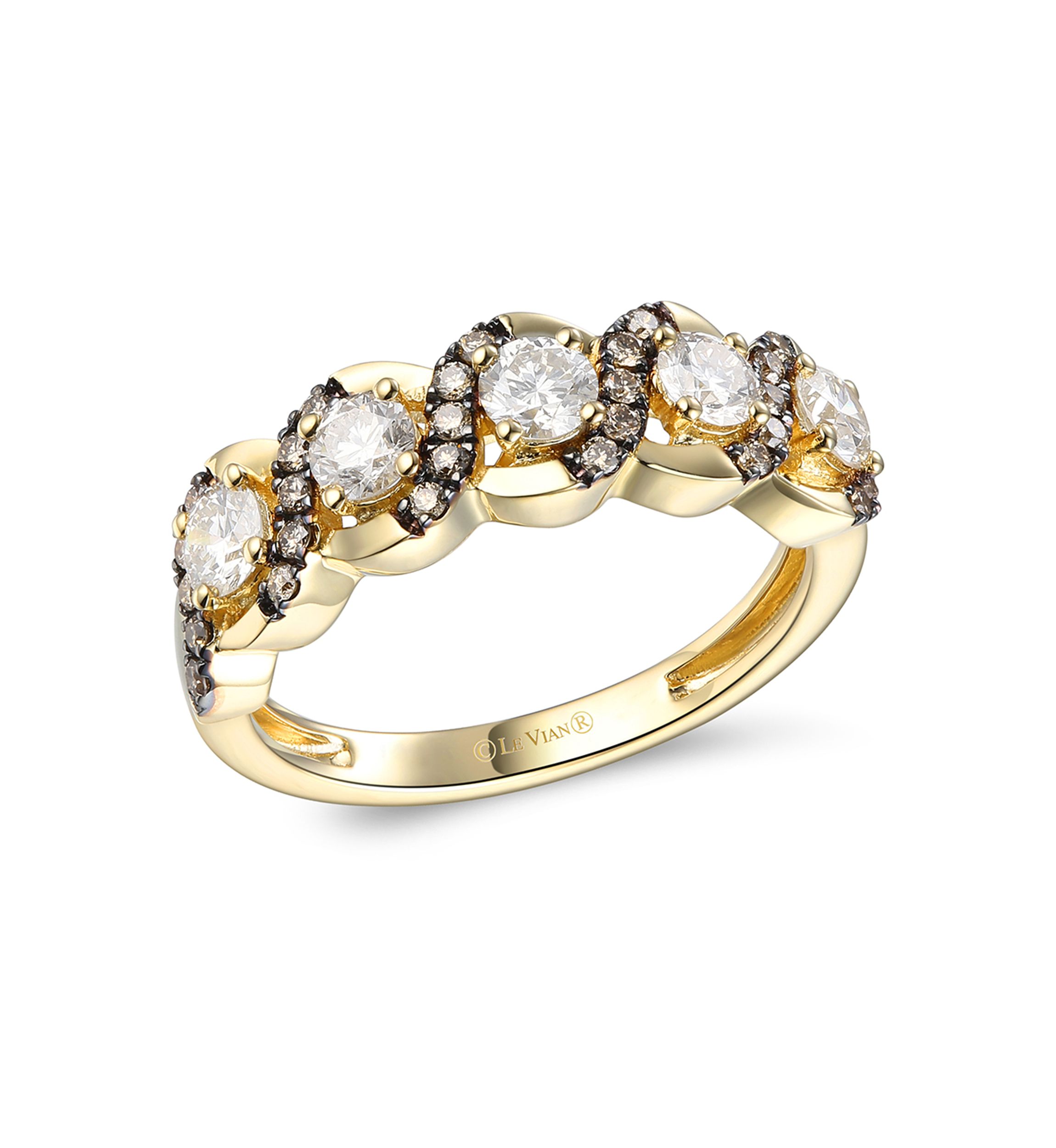 3/4 ct. t.w. Nude Diamonds™, 1/5 ct. t.w. Chocolate Diamonds® Band Ring in 14K Honey Gold™