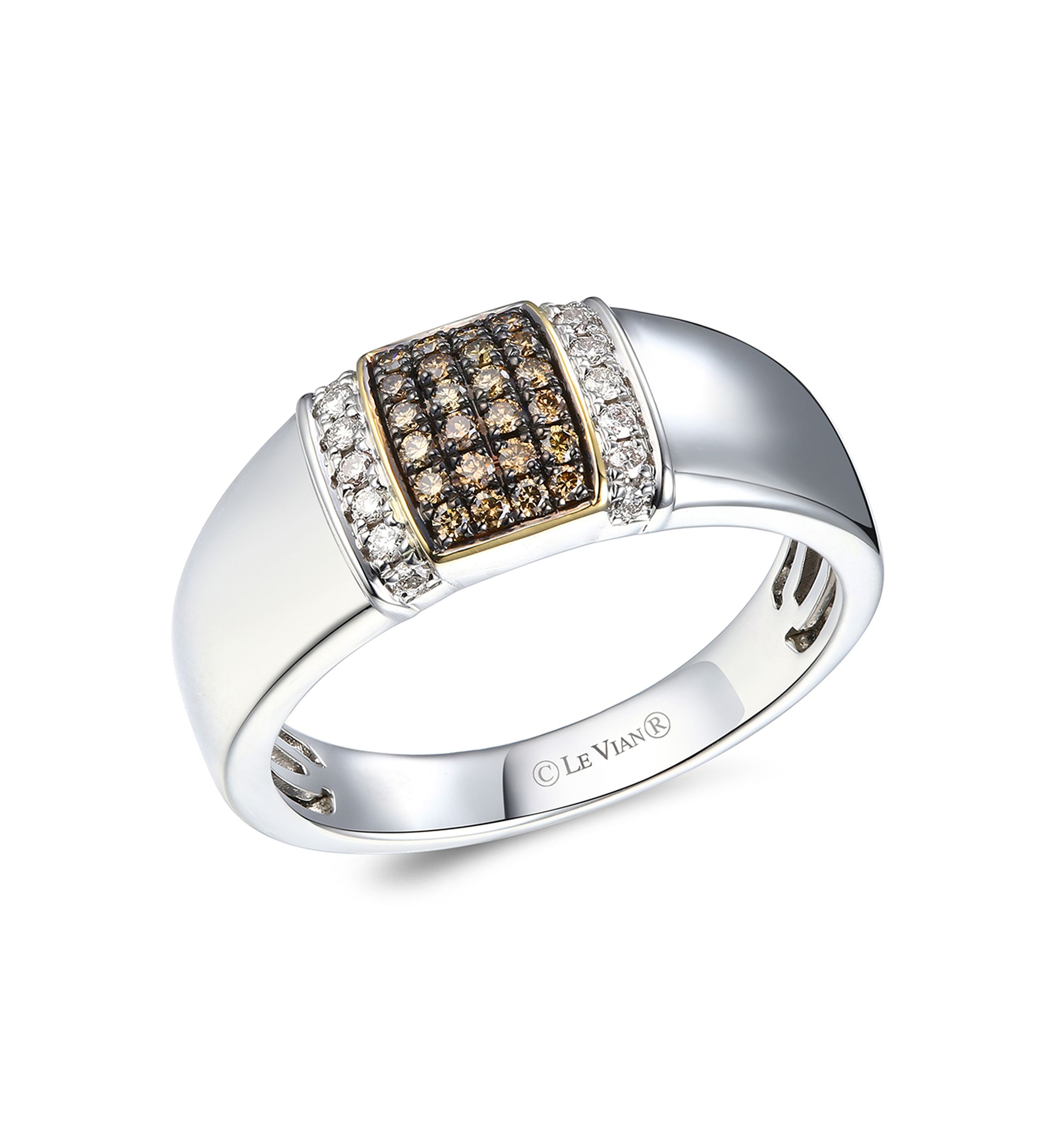 Mens 1/5 ct. t.w. Chocolate Diamonds®, 1/8 ct. t.w. Nude Diamonds™ Ring in Sterling Silver and 14K Gold™