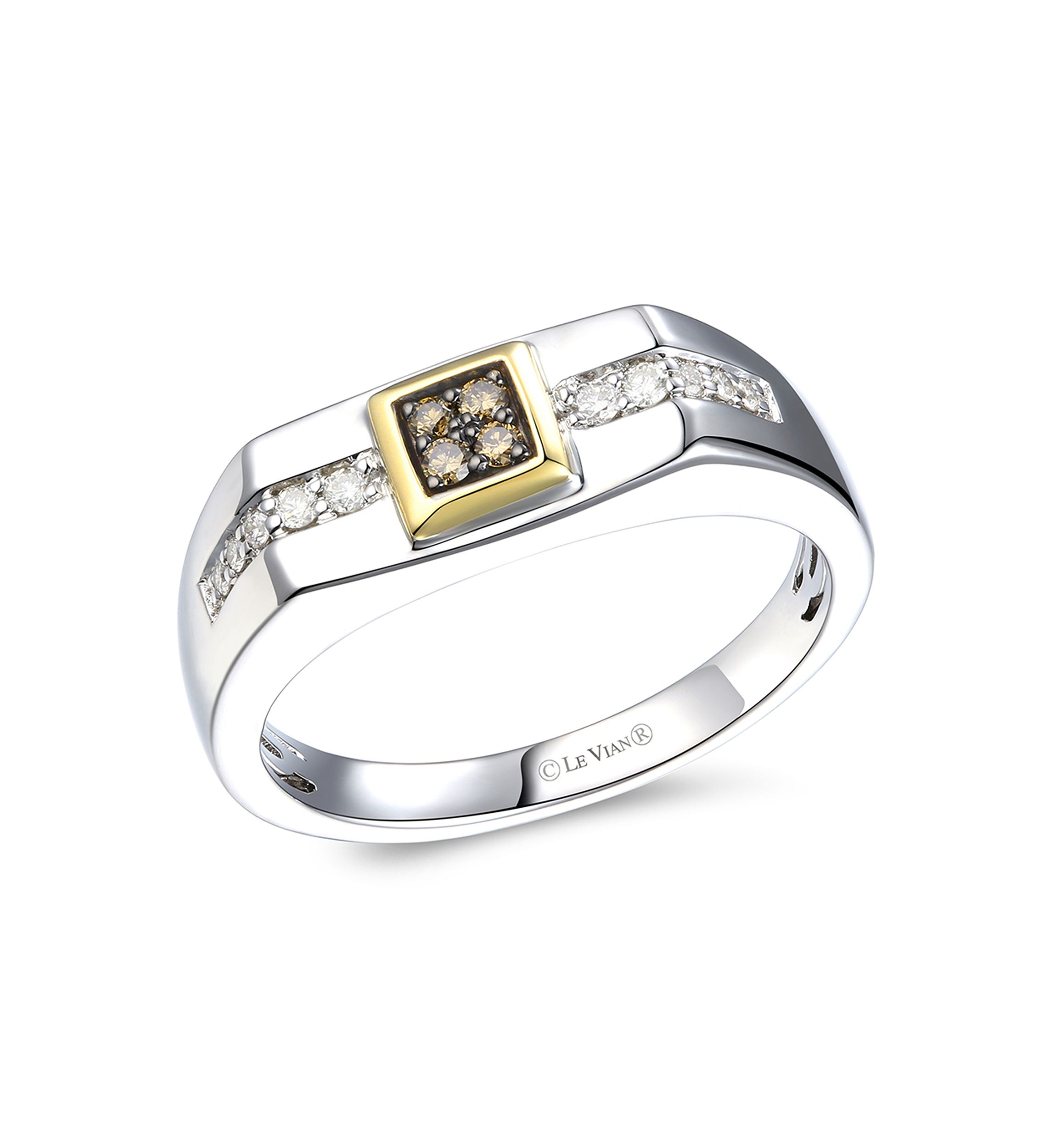 Mens 1/8 ct. t.w. Nude Diamonds™, 1/10 ct. t.w. Chocolate Diamonds® Ring in Sterling Silver and 14K Gold™