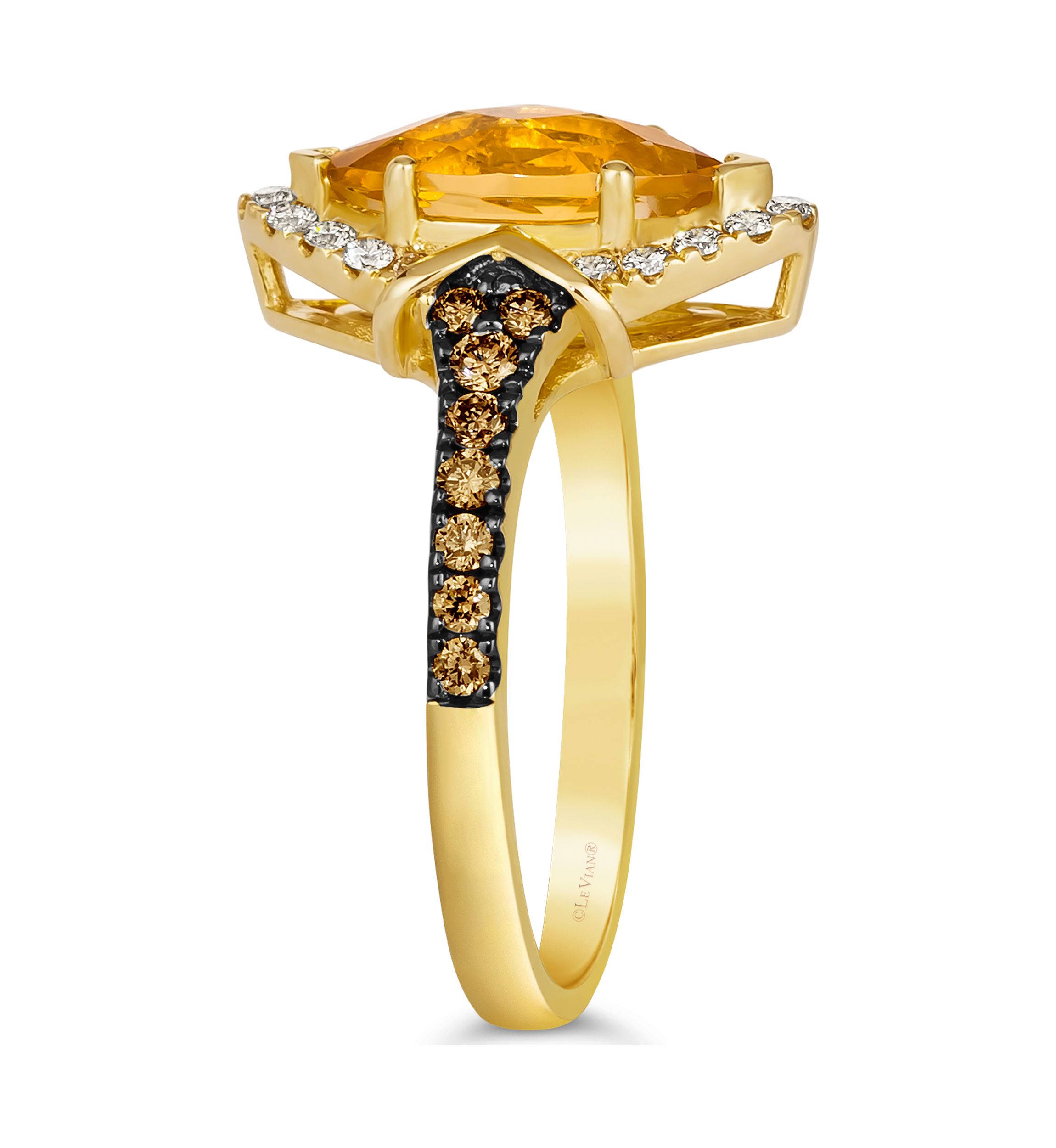 1.5 ct. t.w. Cinnamon Citrine®, 1/4 ct. t.w. Chocolate Diamonds®, 1/5 ct. t.w. Nude Diamonds™ Ring in 14K Honey Gold™
