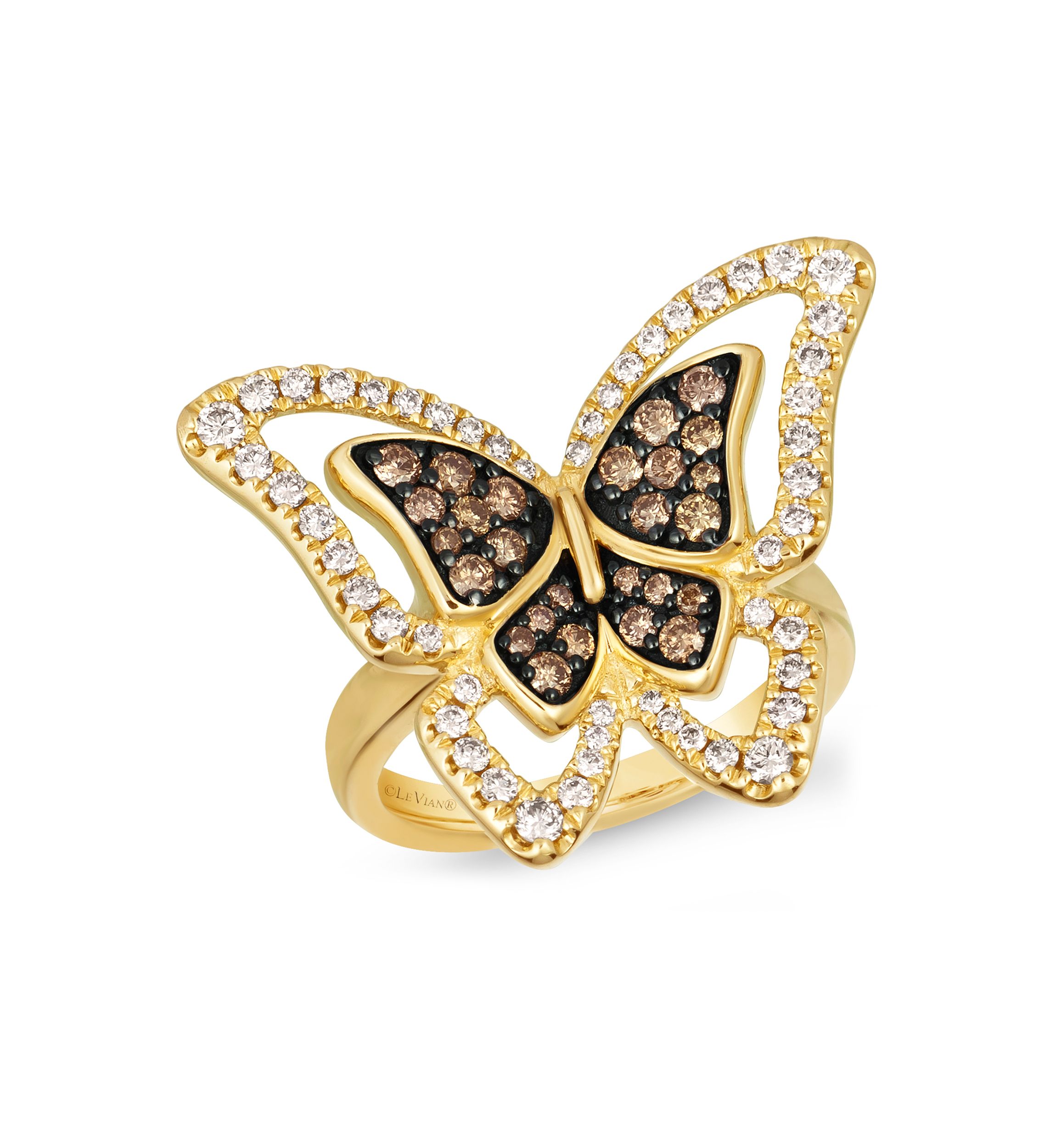 1/2 ct. t.w. Chocolate Diamonds®, 1/2 ct. t.w. Nude Diamonds™ Ring in 14K Honey Gold™