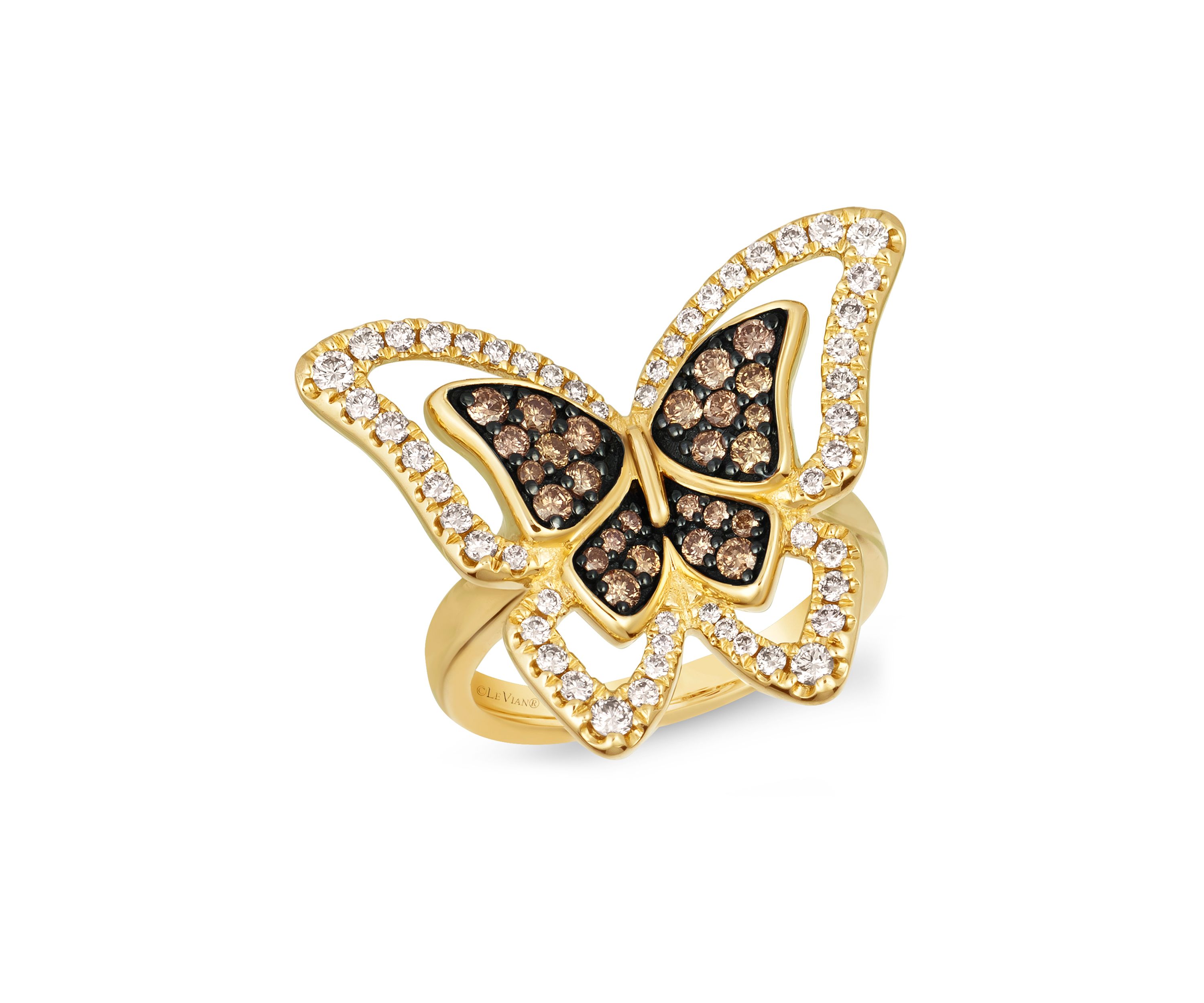1/2 ct. t.w. Chocolate Diamonds®, 1/2 ct. t.w. Nude Diamonds™ Ring in 14K Honey Gold™