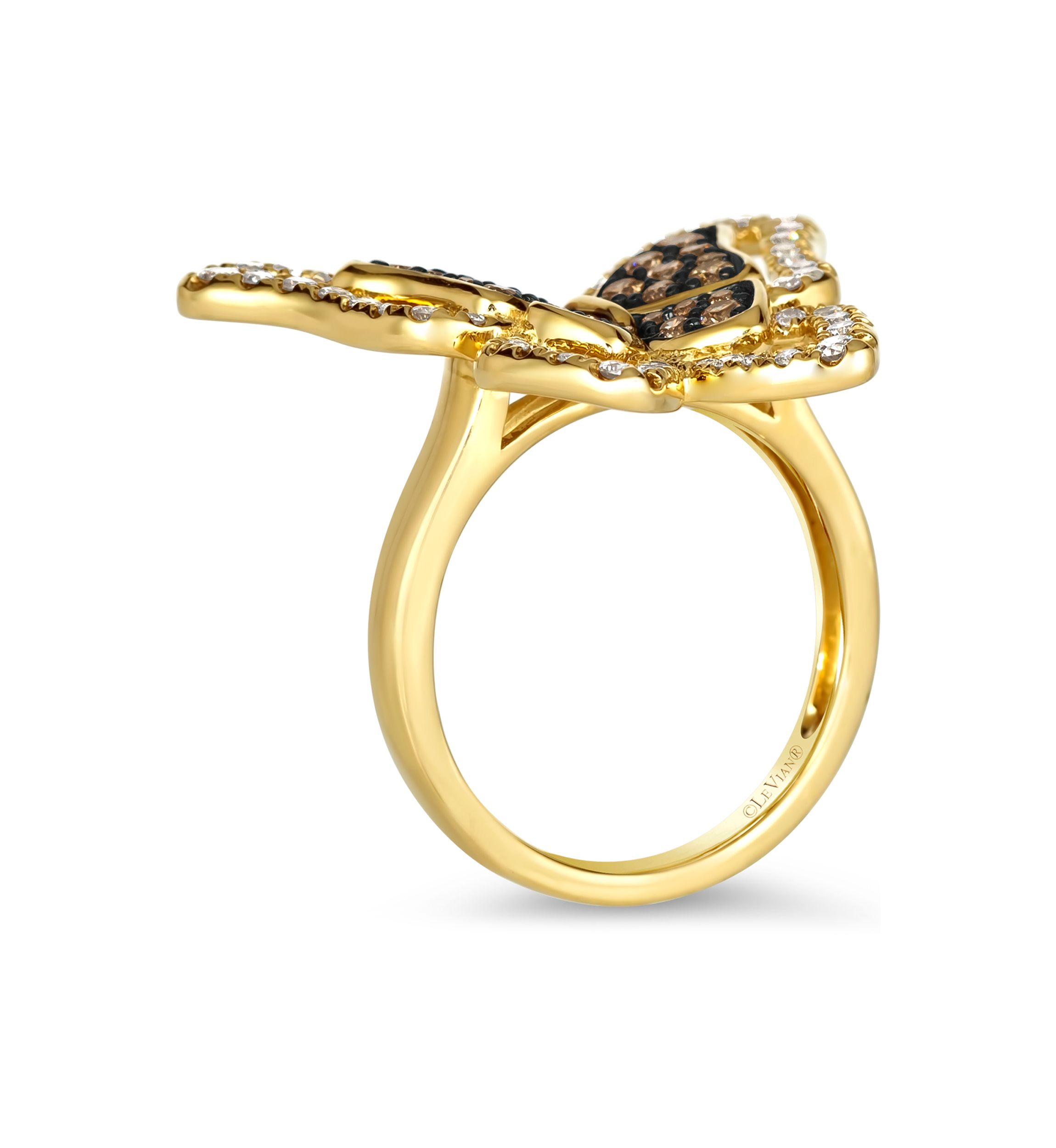 1/2 ct. t.w. Chocolate Diamonds®, 1/2 ct. t.w. Nude Diamonds™ Ring in 14K Honey Gold™