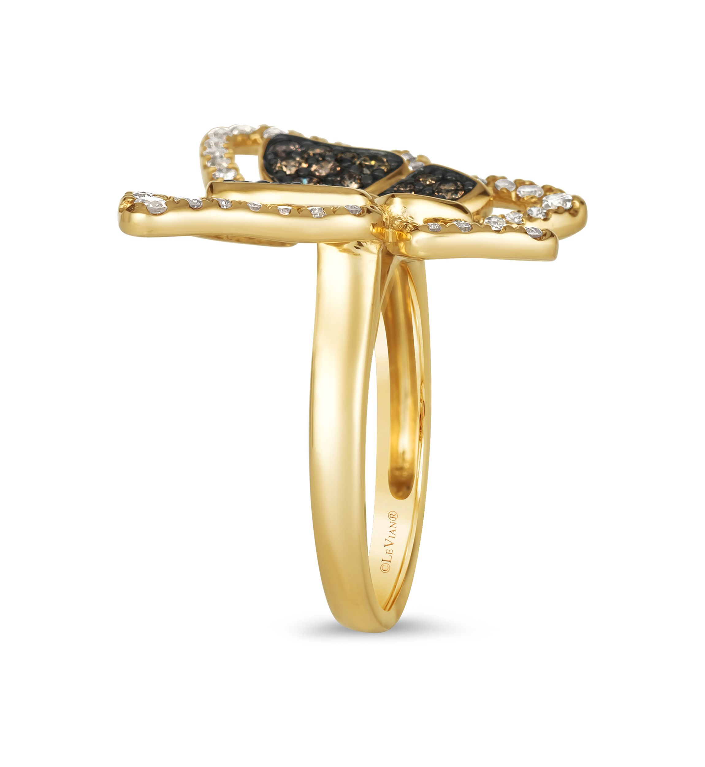 1/2 ct. t.w. Chocolate Diamonds®, 1/2 ct. t.w. Nude Diamonds™ Ring in 14K Honey Gold™