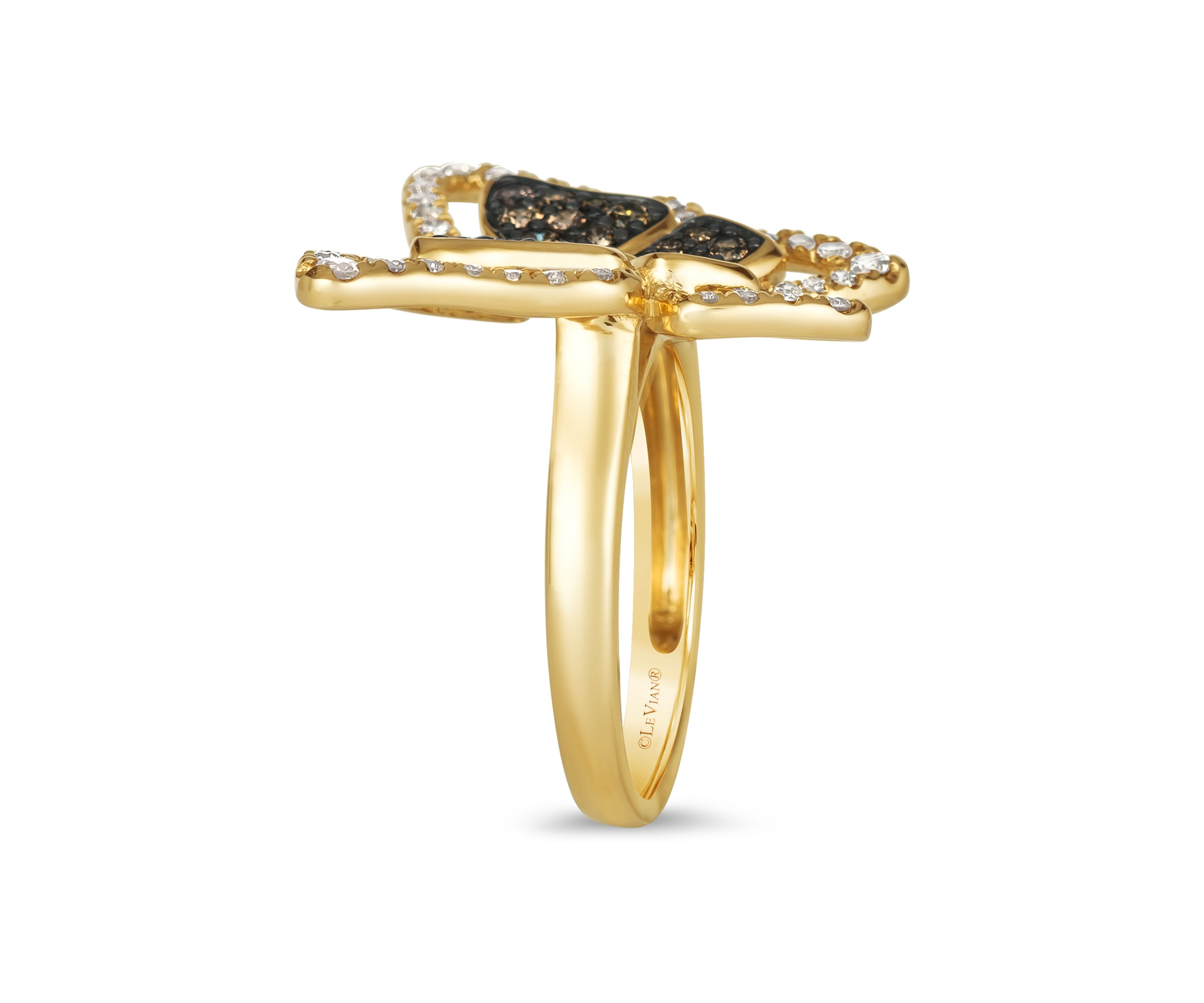 1/2 ct. t.w. Chocolate Diamonds®, 1/2 ct. t.w. Nude Diamonds™ Ring in 14K Honey Gold™