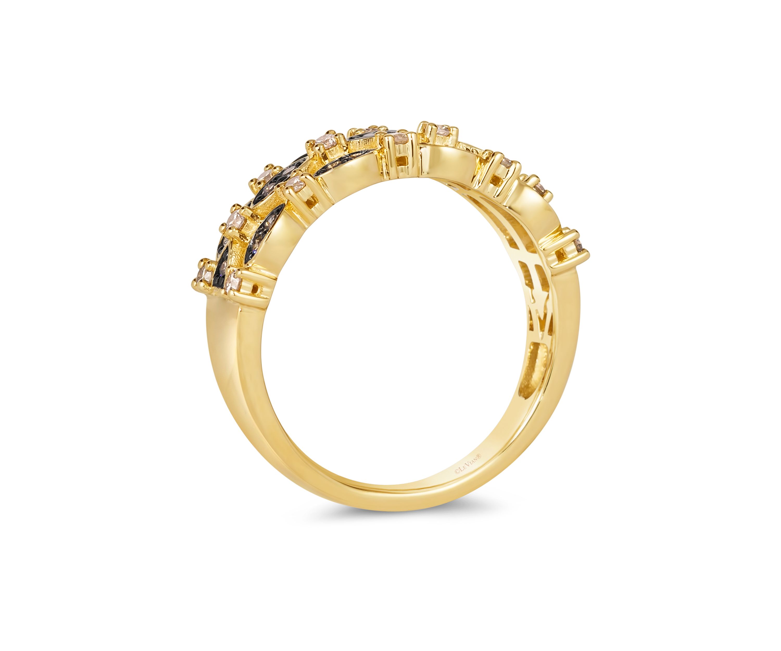 1/4 ct. t.w. Nude Diamonds™, 1/4 ct. t.w. Chocolate Diamonds® Ring in 14K Honey Gold™