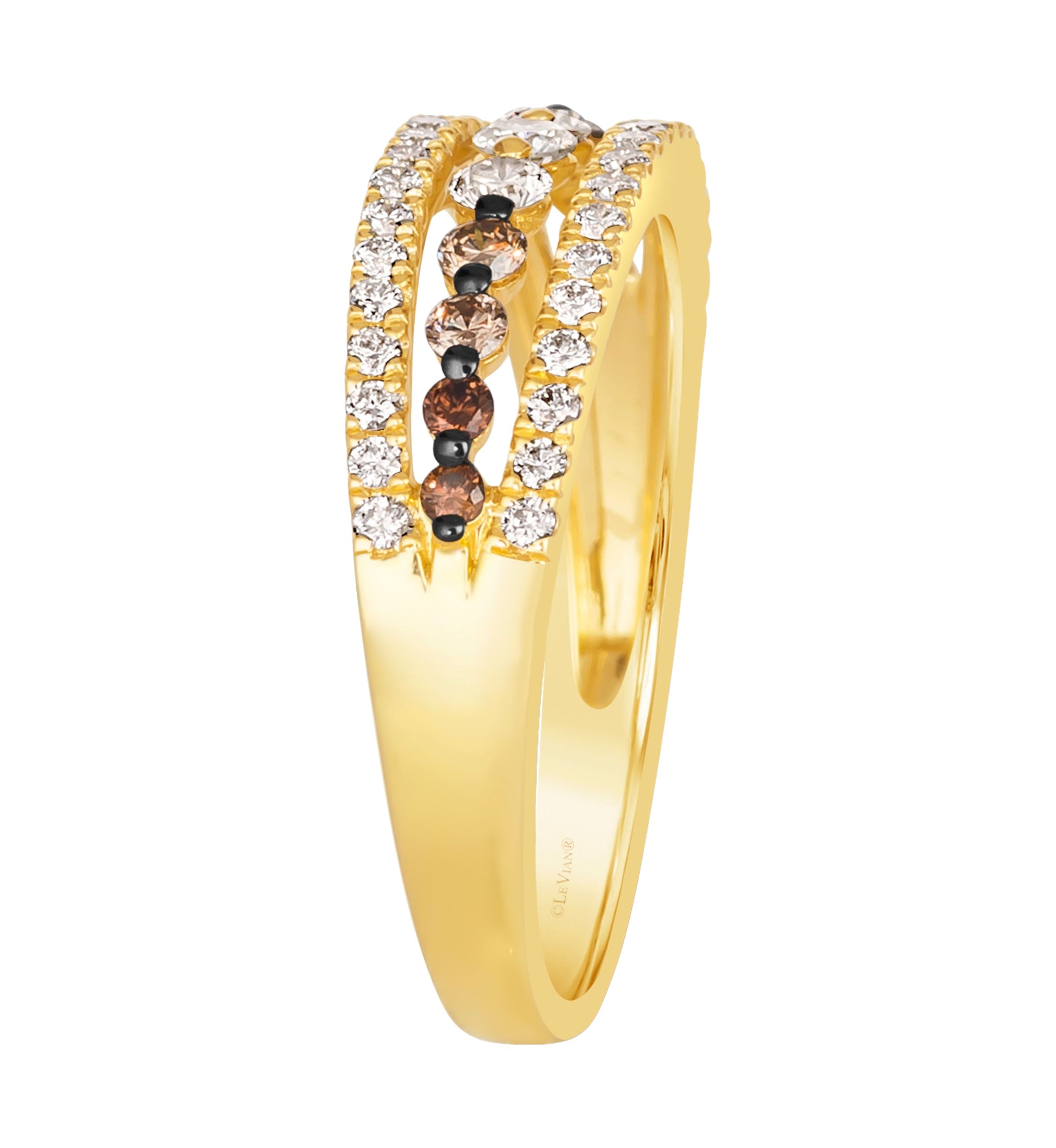 1/3 ct. t.w. Chocolate Ombré Diamonds®, 1/4 ct. t.w. Vanilla Diamonds® Ombré Ring in 14K Honey Gold™