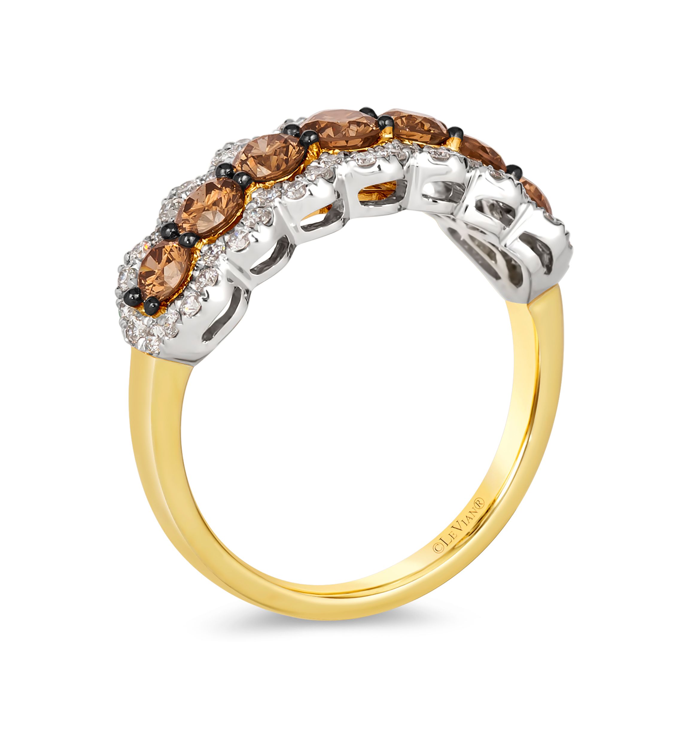 1 ct. t.w. Chocolate Diamonds®, 1/3 ct. t.w. Vanilla Diamonds® Ring in Tri Tone Gold