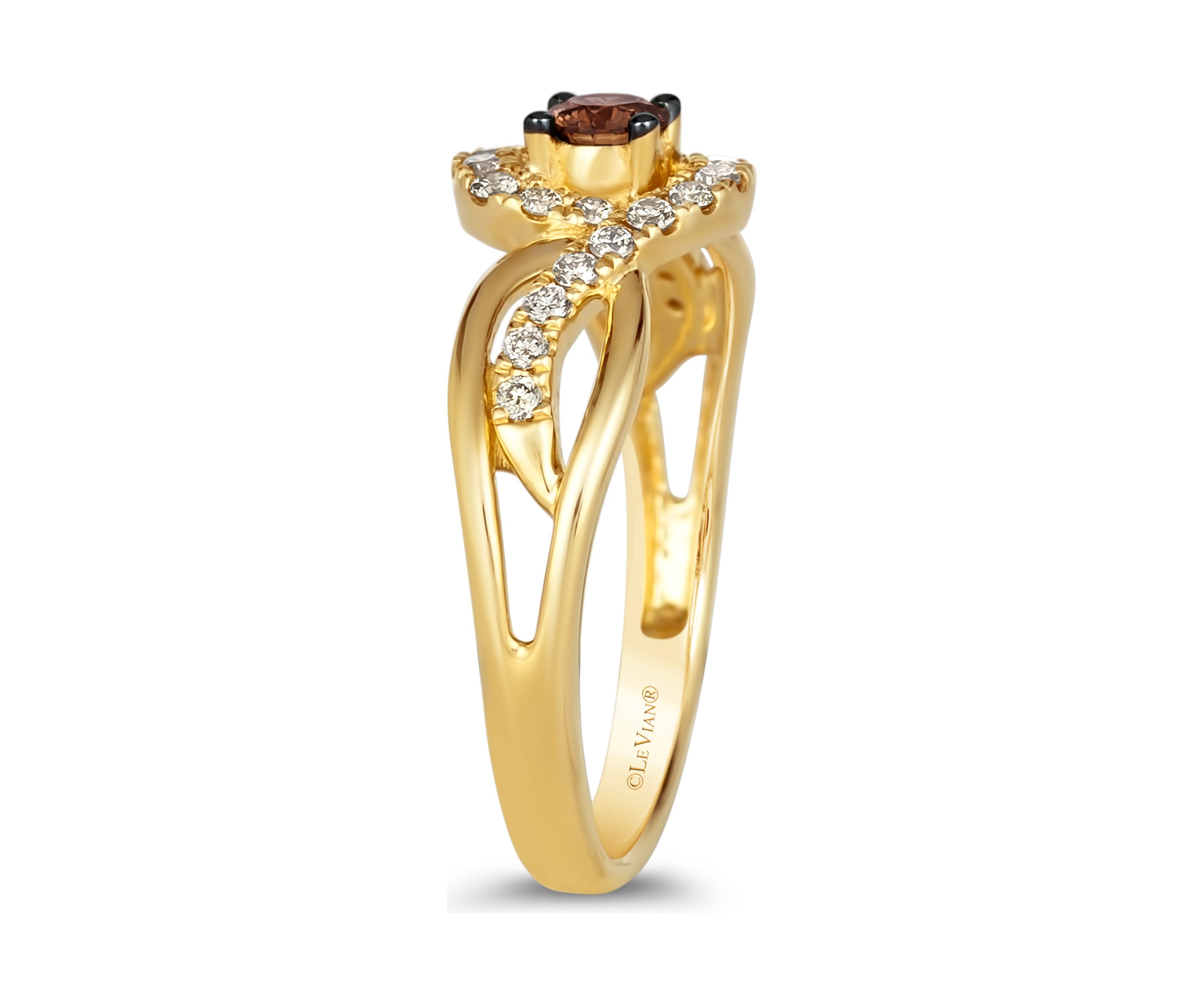 1/5 ct. t.w. Chocolate Diamonds®, 1/4 ct. t.w. Nude Diamonds™ Ring in 14K Honey Gold™