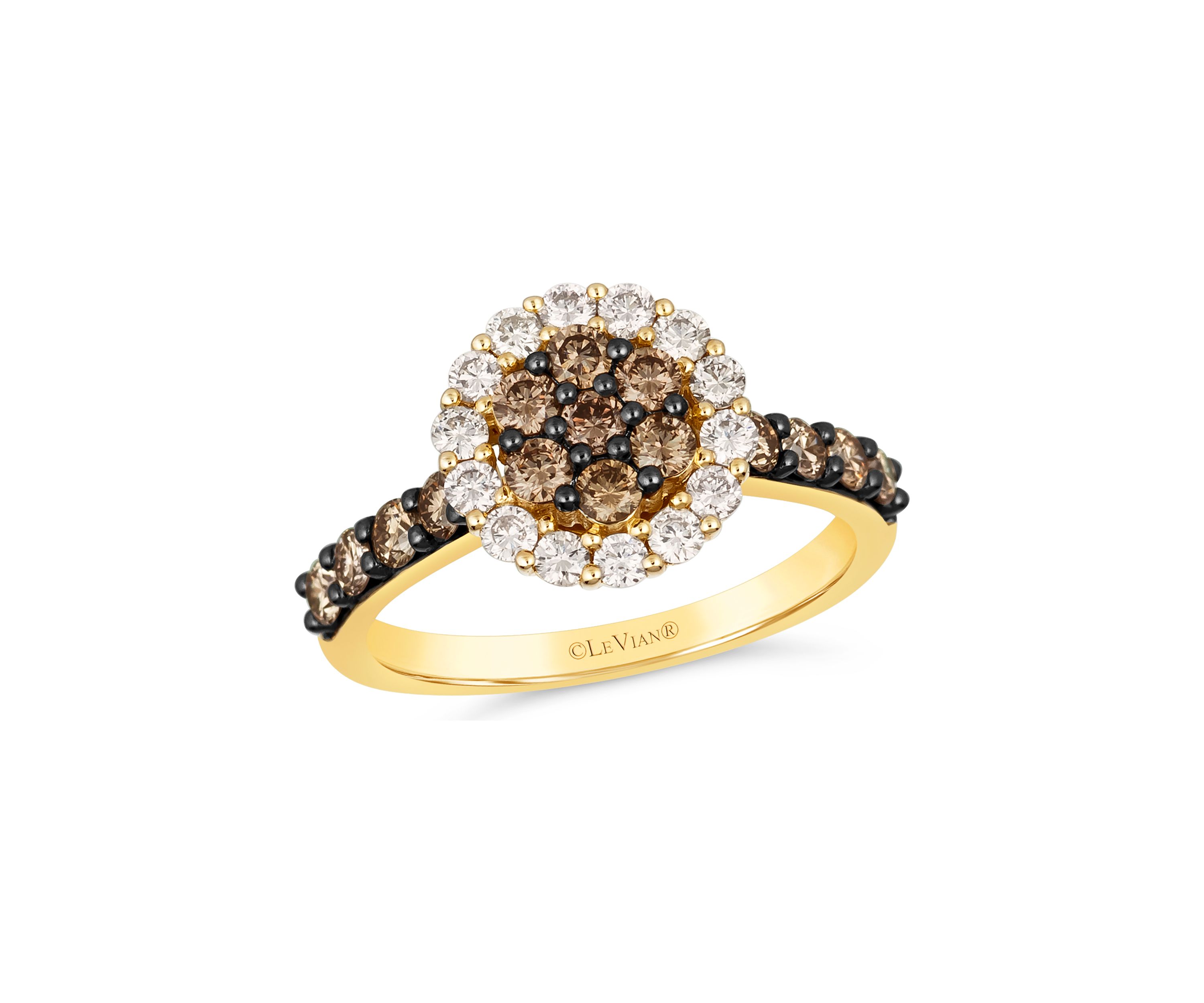 7/8 ct. t.w. Chocolate Diamonds®, 3/8 ct. t.w. Nude Diamonds™ Ring in 14K Honey Gold™