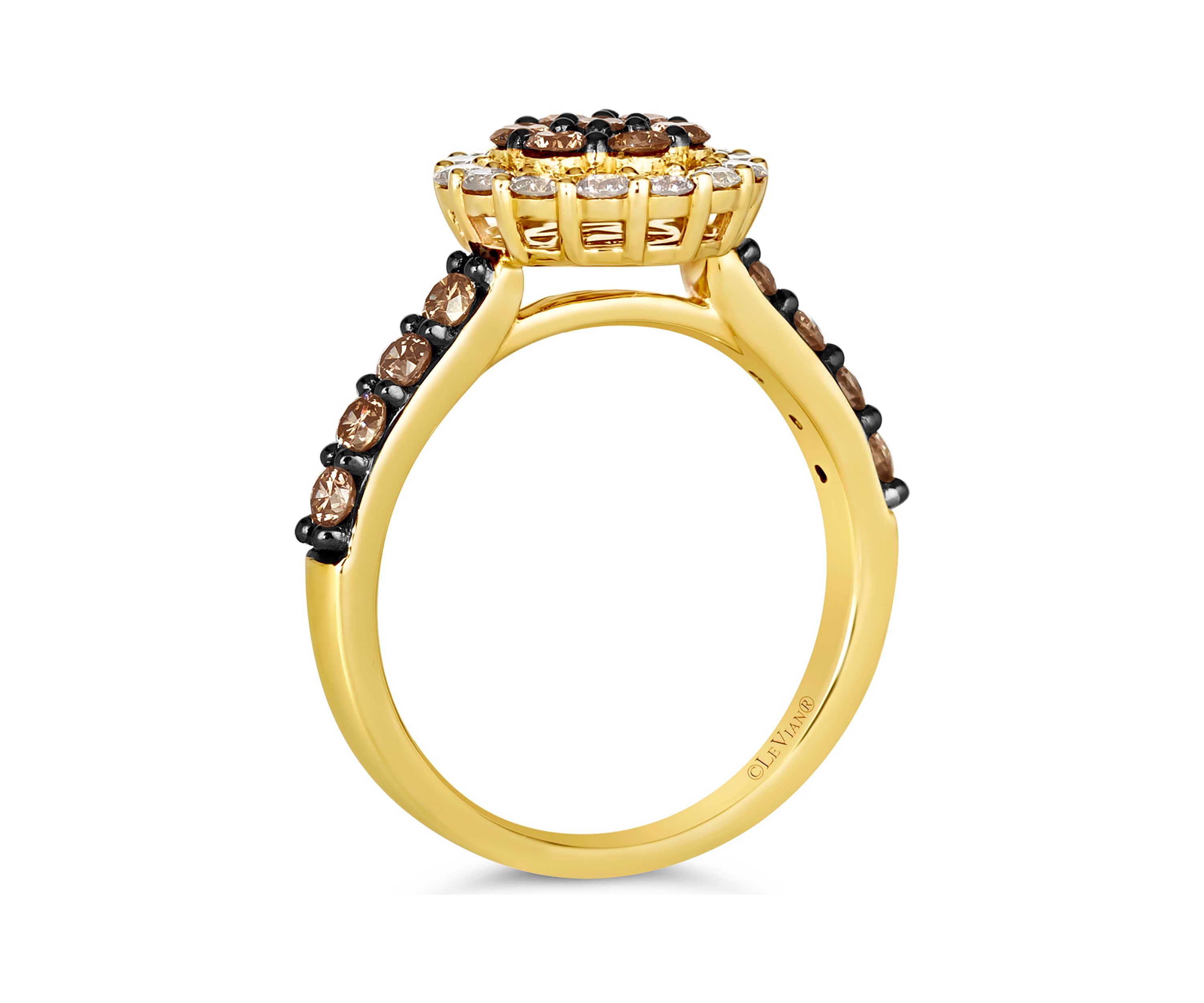 7/8 ct. t.w. Chocolate Diamonds®, 3/8 ct. t.w. Nude Diamonds™ Ring in 14K Honey Gold™
