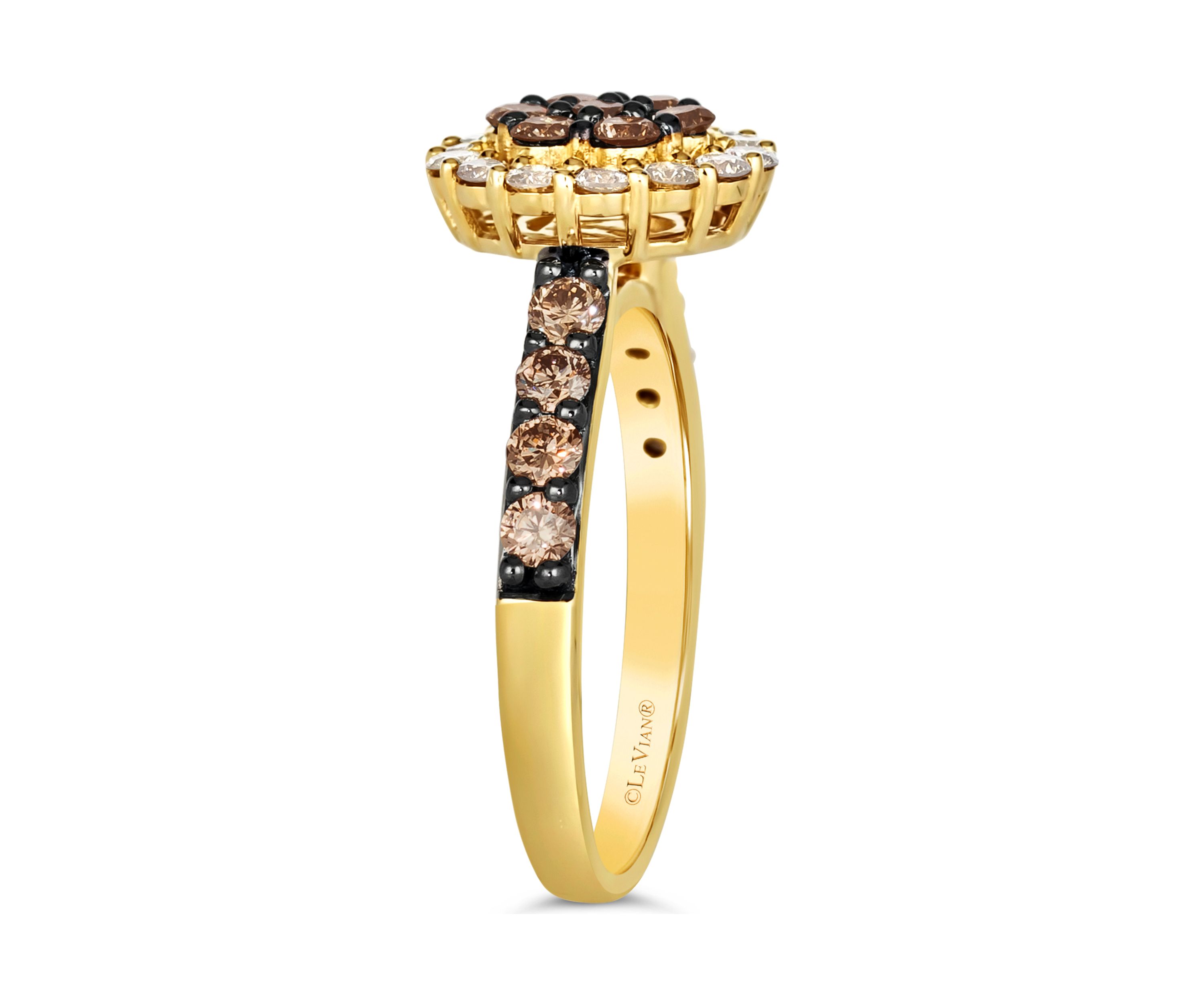 7/8 ct. t.w. Chocolate Diamonds®, 3/8 ct. t.w. Nude Diamonds™ Ring in 14K Honey Gold™