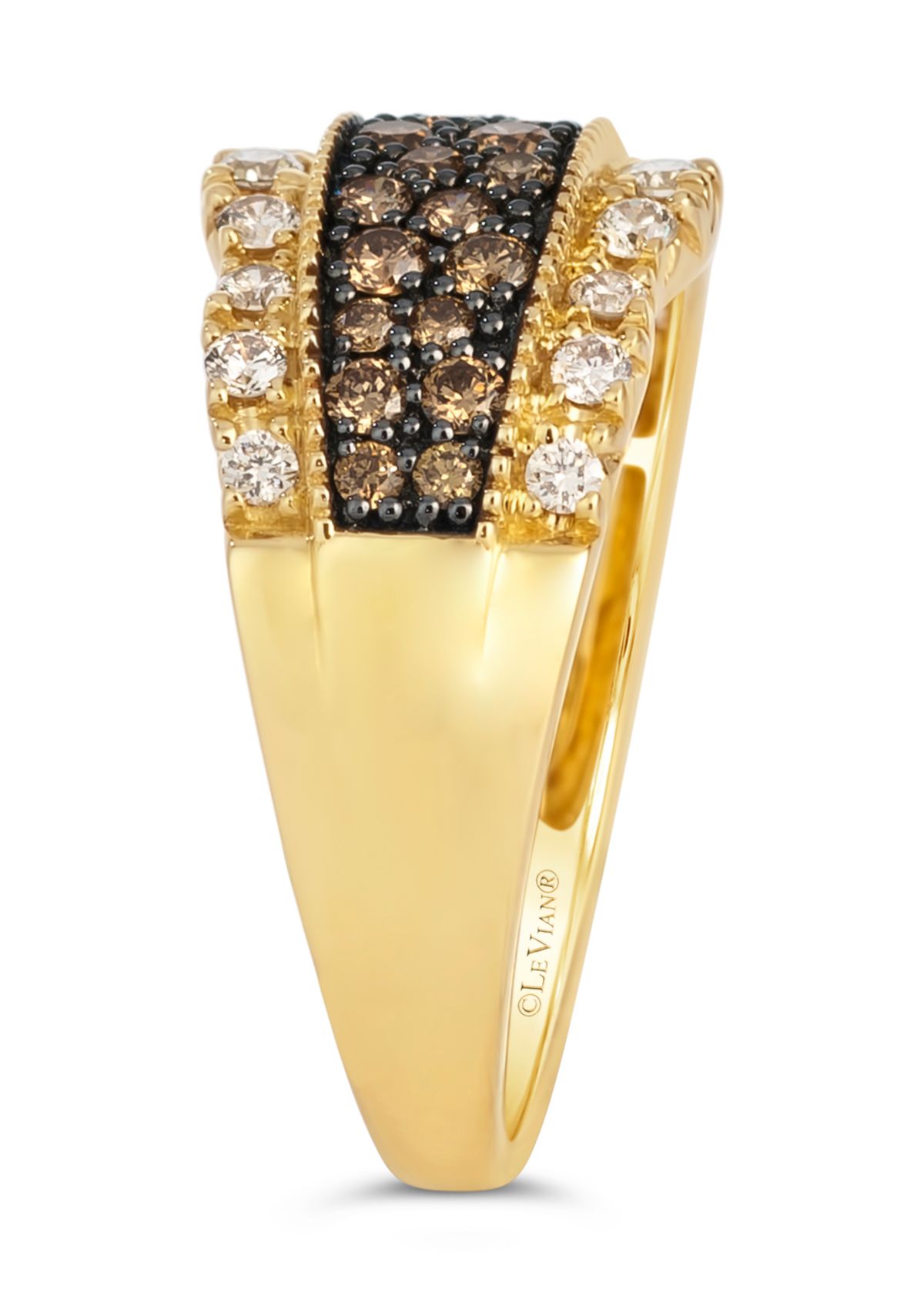1/2 ct. t.w. Chocolate Diamonds®, 1/3 ct. t.w. Nude Diamonds™ Band Ring in 14K Honey Gold™