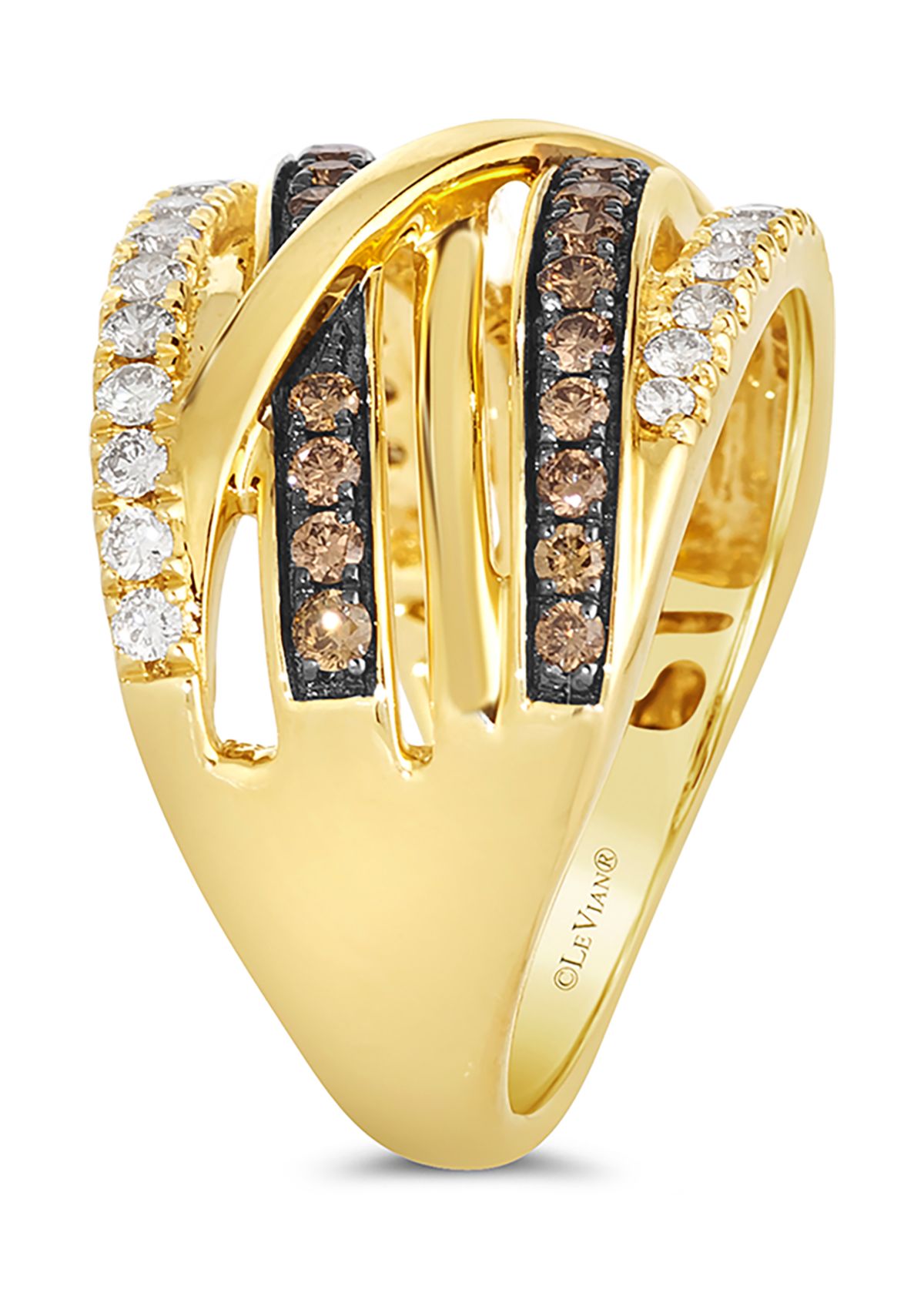 3/4 ct. t.w. Chocolate Diamonds® and Nude Diamonds™ Ring in 14K Honey Gold™