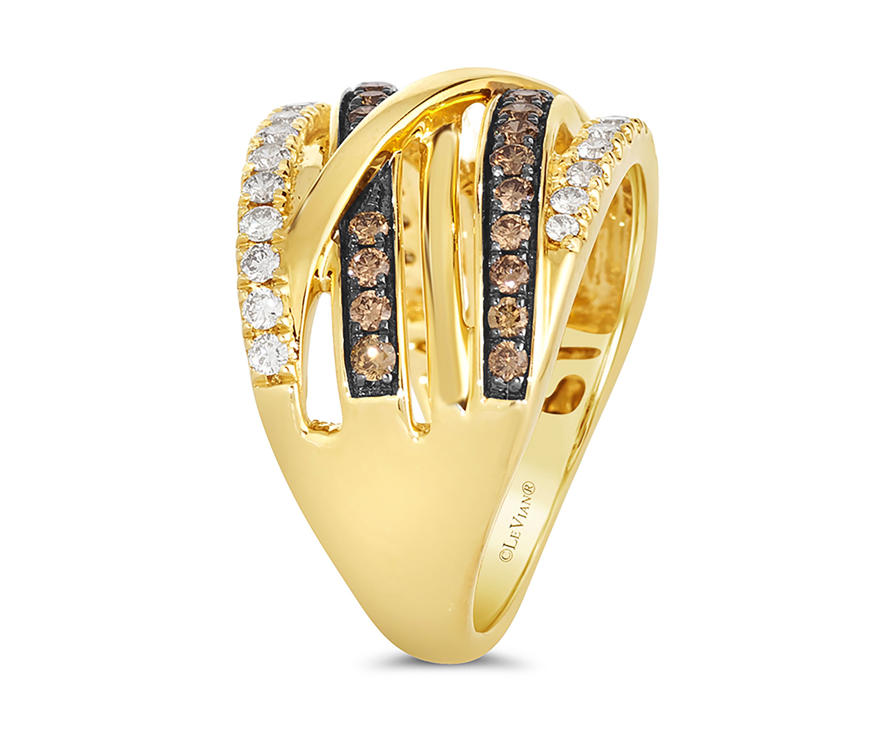 3/4 ct. t.w. Chocolate Diamonds® and Nude Diamonds™ Ring in 14K Honey Gold™
