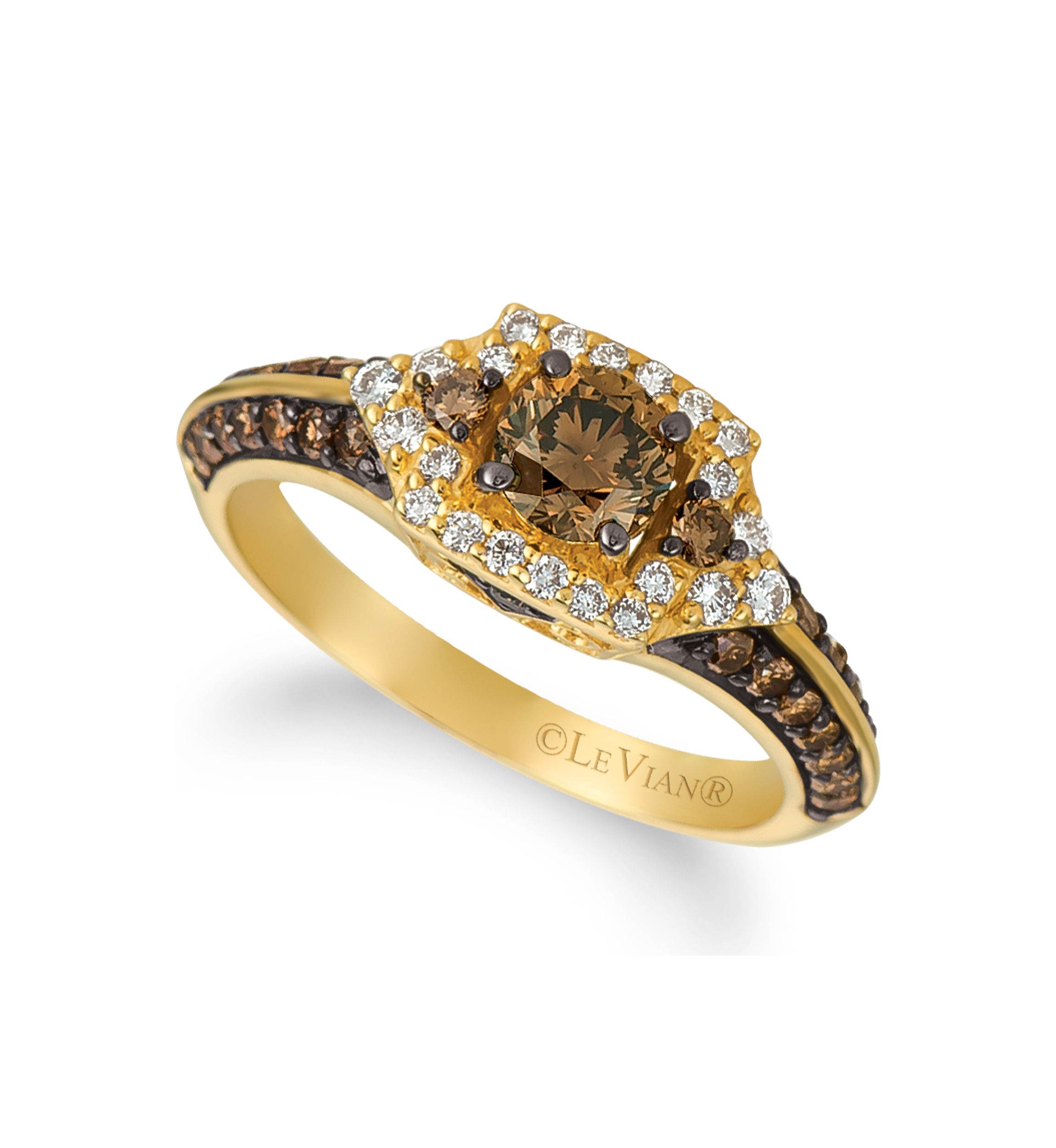 7/8 ct. t.w. Chocolate Diamonds®, 1/5 ct. t.w. Vanilla Diamonds® Ring in 14K Honey Gold™