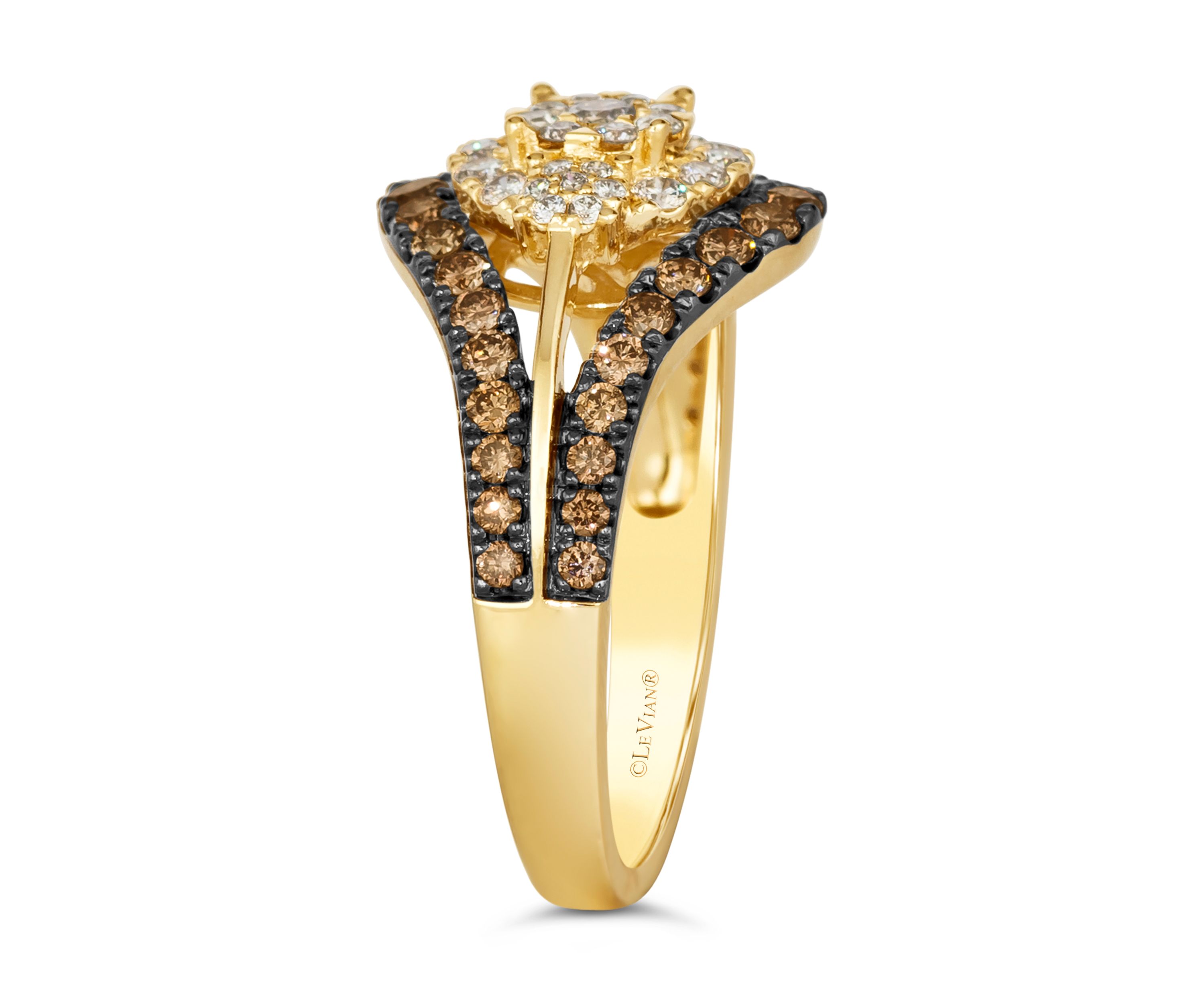 1/3 ct. t.w. Nude Diamonds™, 5/8 ct. t.w. Chocolate Diamonds® Ring in 14K Honey Gold™
