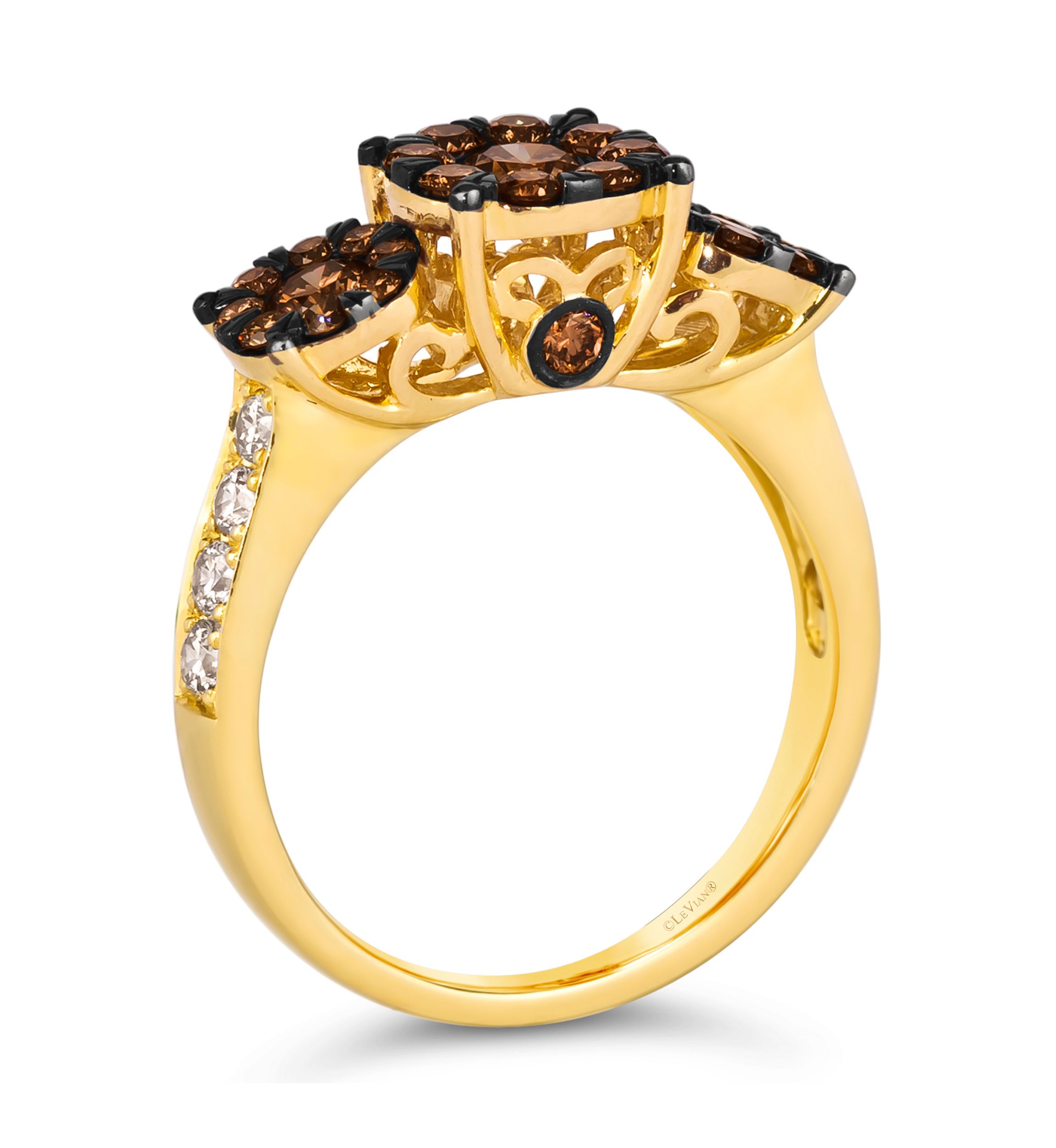 Ring featuring 1 ct. t.w.Chocolate Diamonds®, 1/3 ct. t.w. Nude Diamonds™ in 14K Honey Gold™