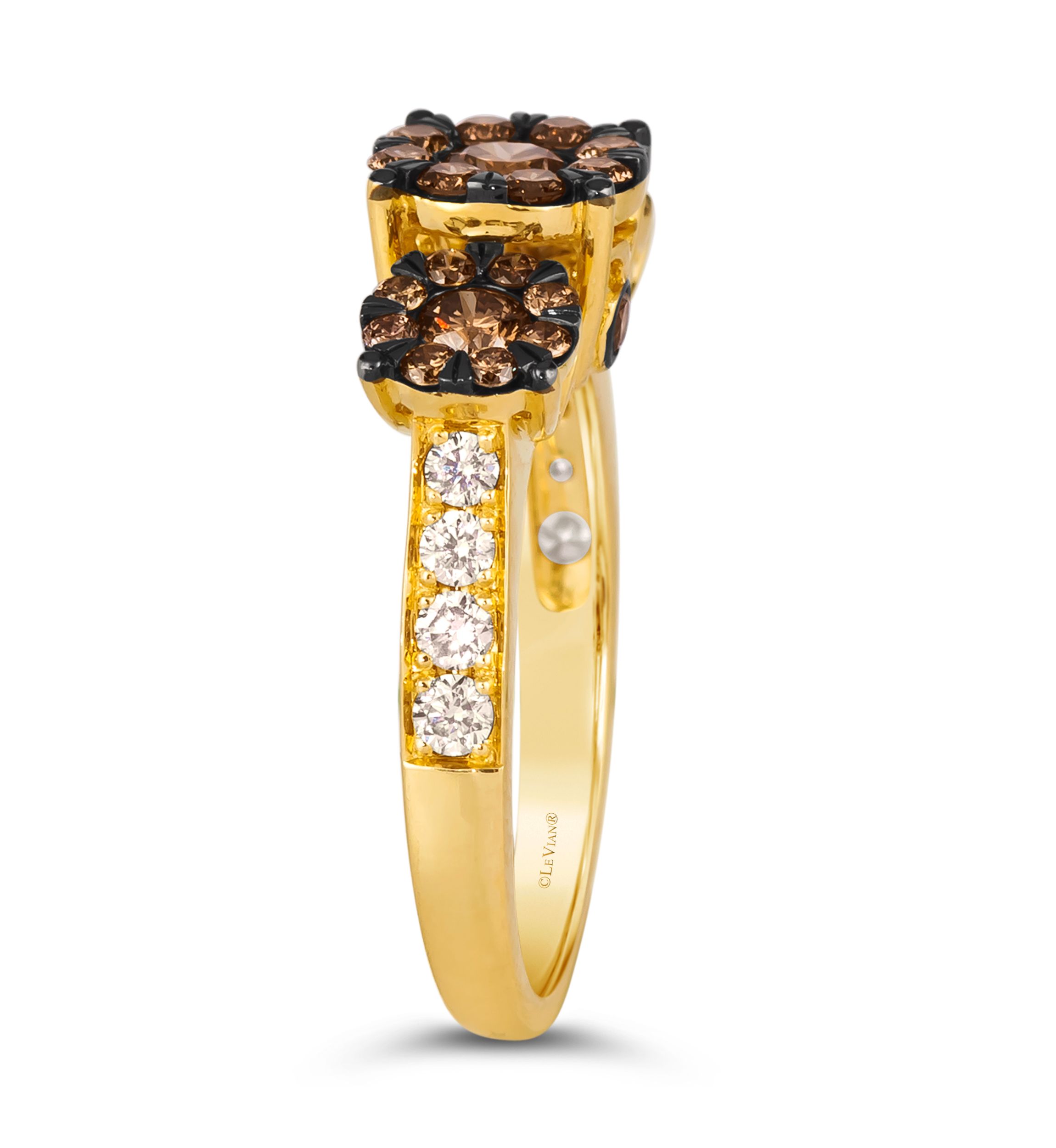 Ring featuring 1 ct. t.w.Chocolate Diamonds®, 1/3 ct. t.w. Nude Diamonds™ in 14K Honey Gold™
