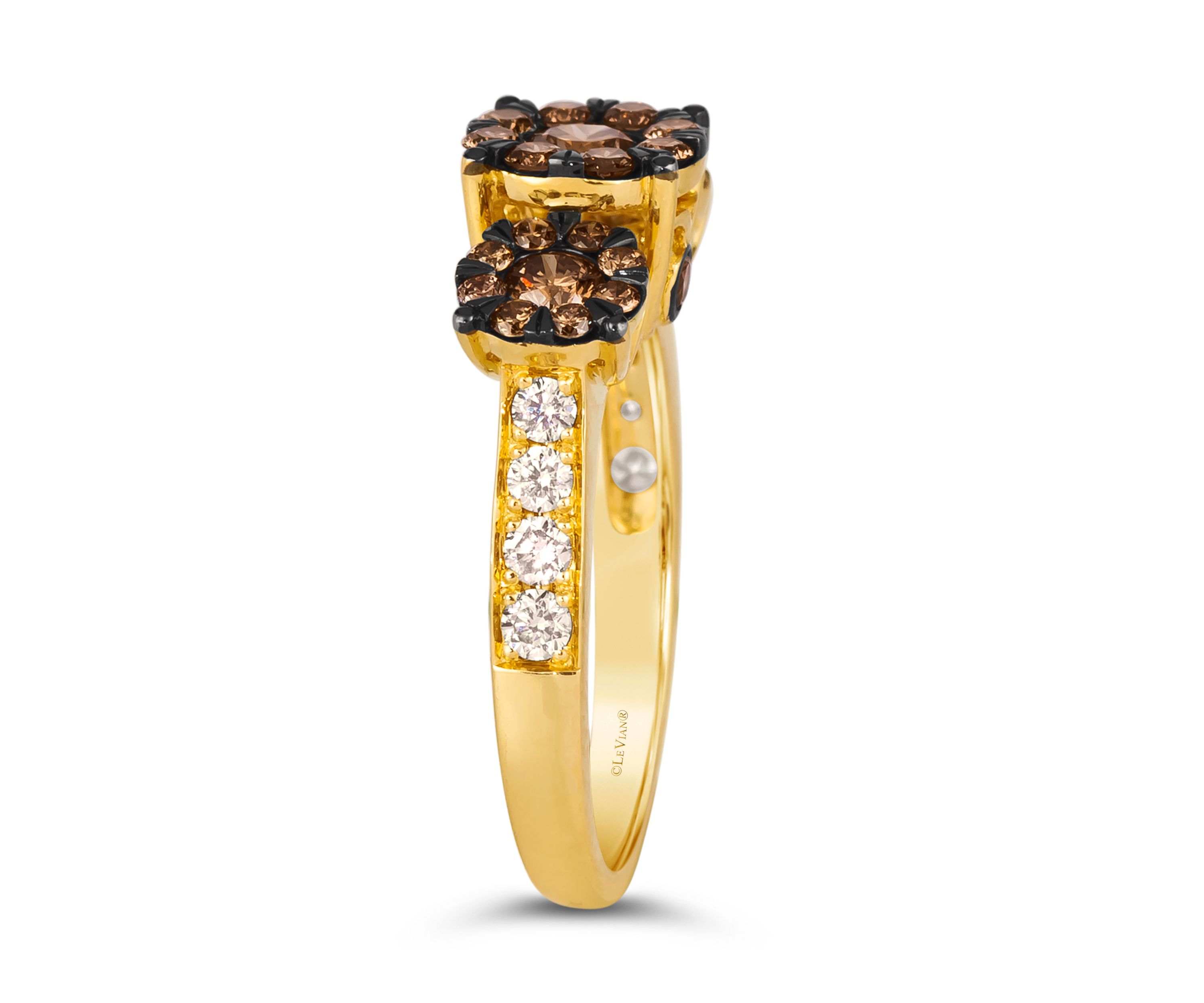 Ring featuring 1 ct. t.w.Chocolate Diamonds®, 1/3 ct. t.w. Nude Diamonds™ in 14K Honey Gold™