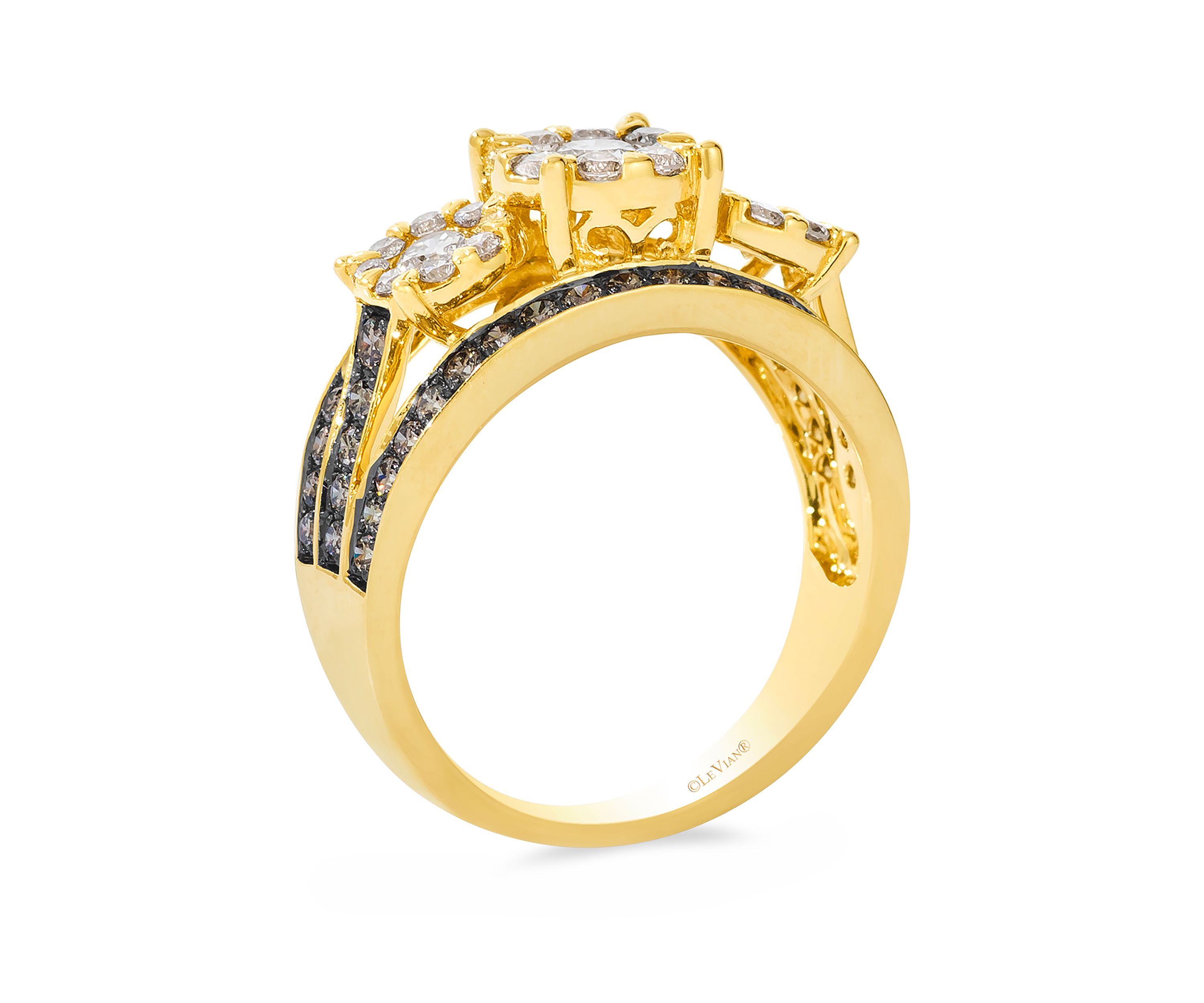 3/4 ct. t.w. Nude Diamonds™, 5/8 ct. t.w. Chocolate Diamonds® Ring in 14K Honey Gold™
