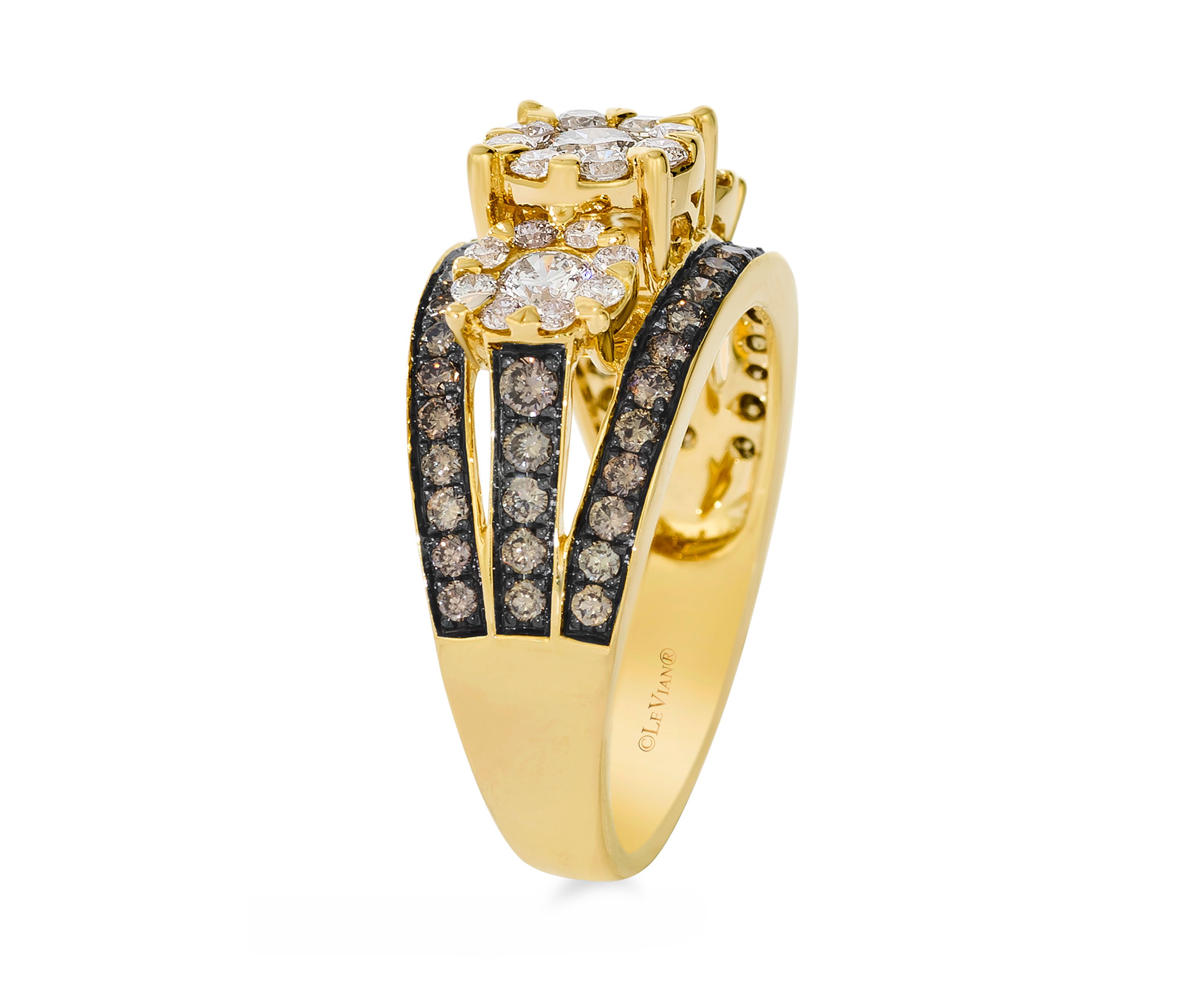 3/4 ct. t.w. Nude Diamonds™, 5/8 ct. t.w. Chocolate Diamonds® Ring in 14K Honey Gold™