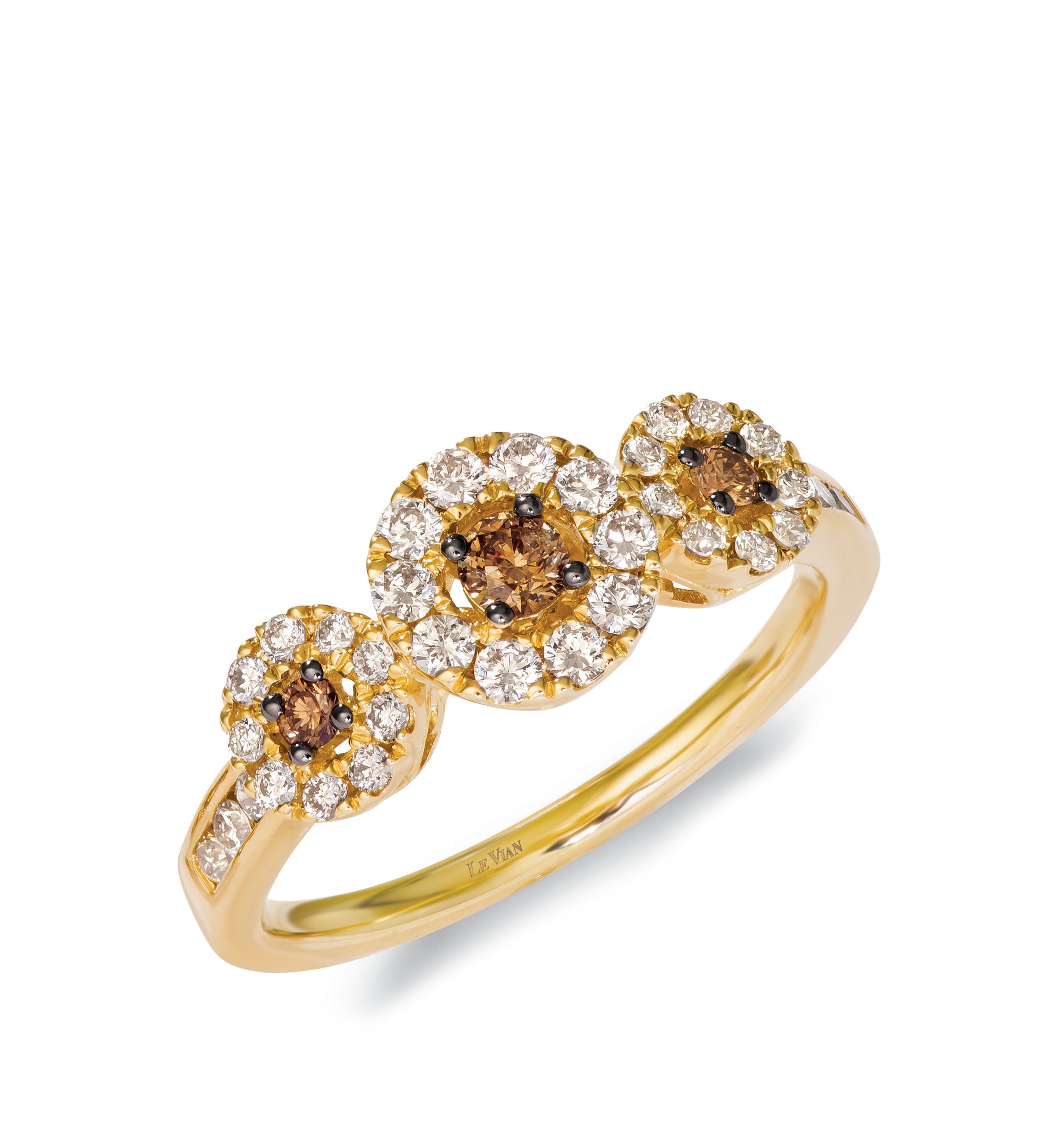  1/6 ct. t.w. Chocolate Diamonds®, 1/2 ct. t.w. Nude Diamonds™ Ring in 14k Honey Gold™