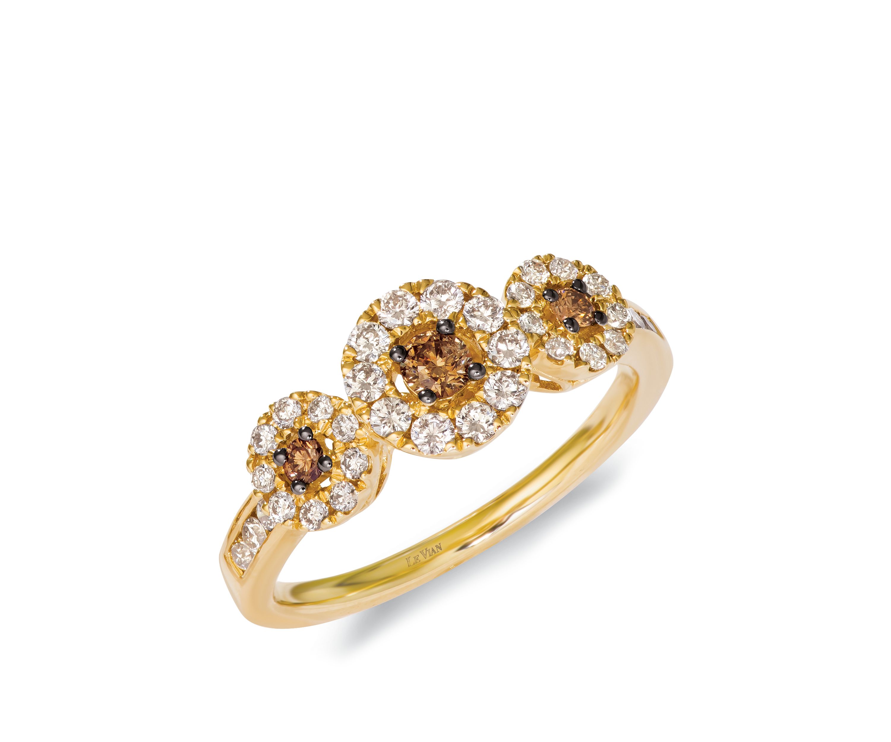  1/6 ct. t.w. Chocolate Diamonds®, 1/2 ct. t.w. Nude Diamonds™ Ring in 14k Honey Gold™