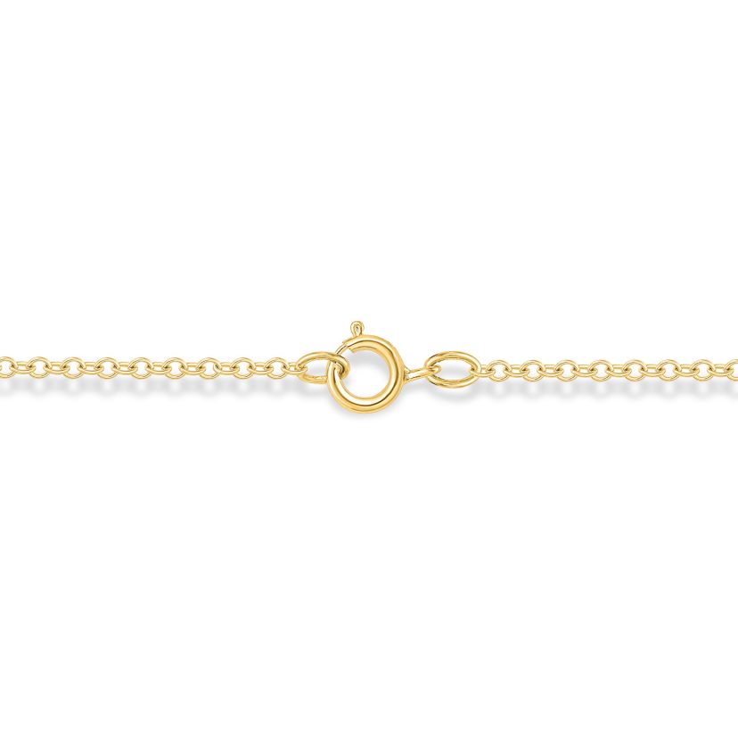 1/5 ct.t.w  Diamond Circle Interlocking Pendant Necklace in 14K Yellow Gold