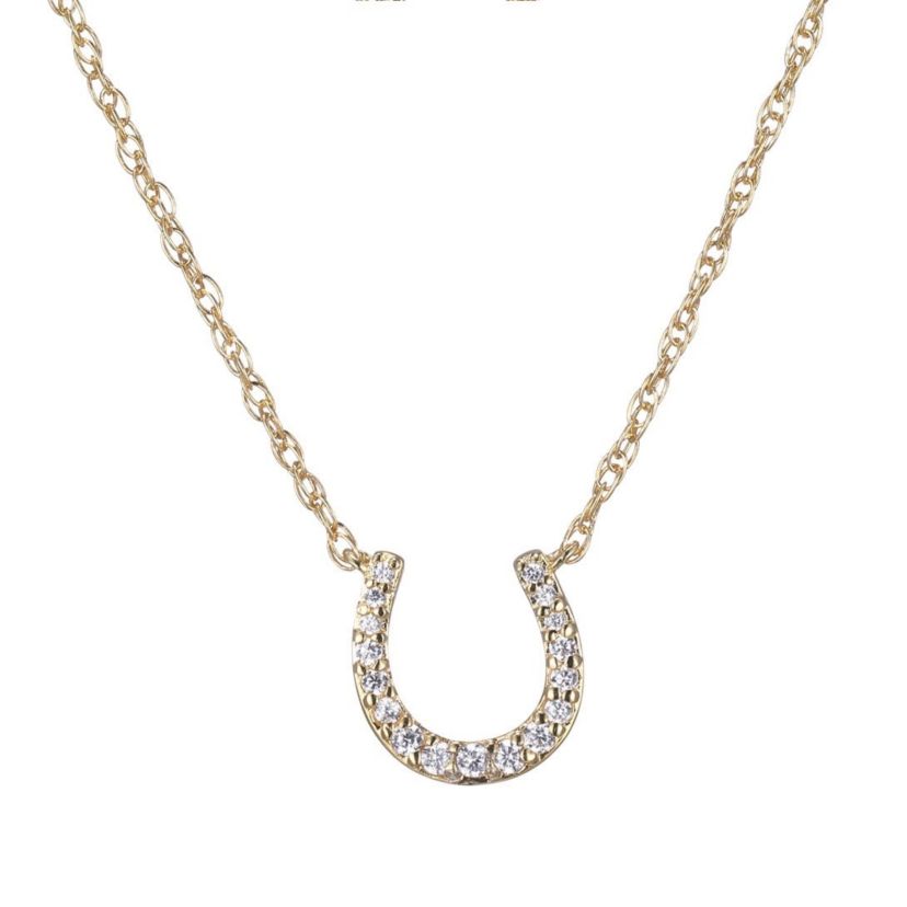 1/10 cttw Diamond Horseshoe Pendant in 14k Yellow Gold with 18" Rope Chain