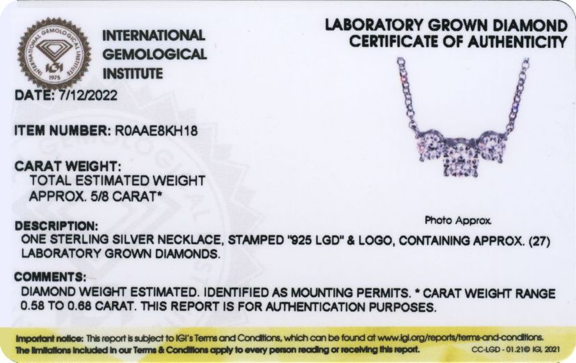 Lab Created Rhodium Plated Sterling Silver 5/8 CT TW Lab Grown Diamond Necklace