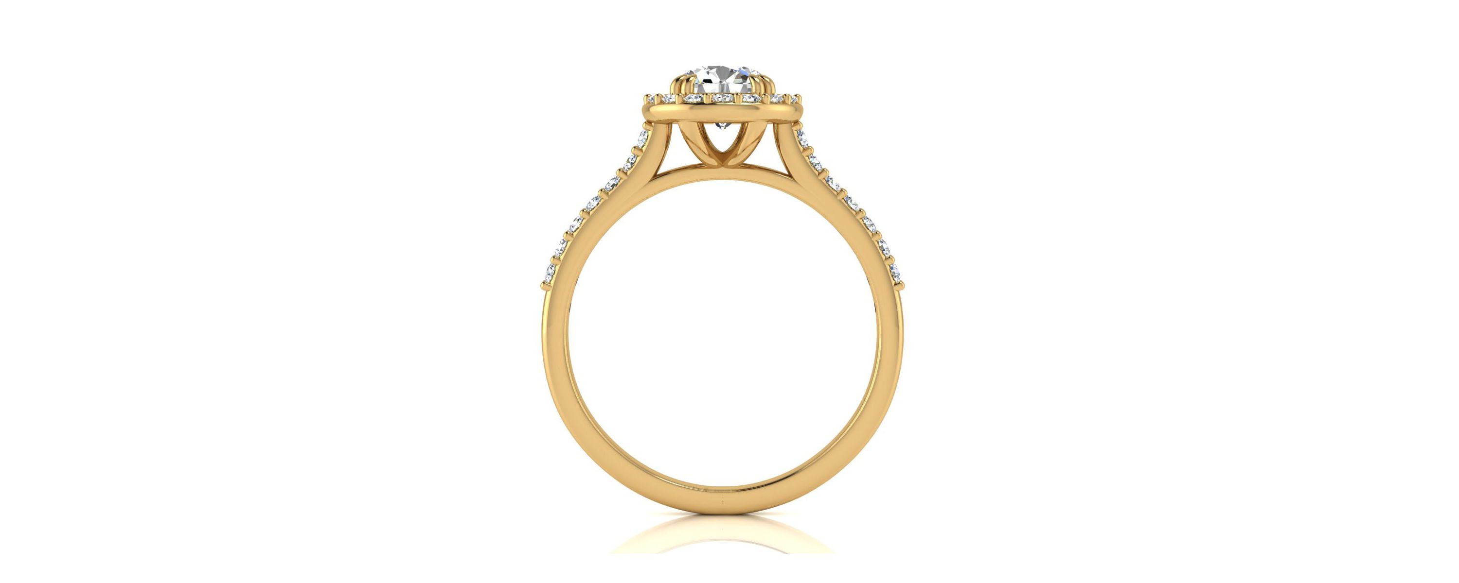 1 ct. t.w. Round Shape Halo Moissanite Engagement Ring In 14 Karat Gold