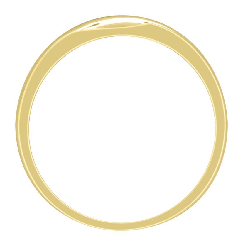 1/4ct. t.w. Diamond  Satin Finish Mens Ring in 10K Yellow Gold