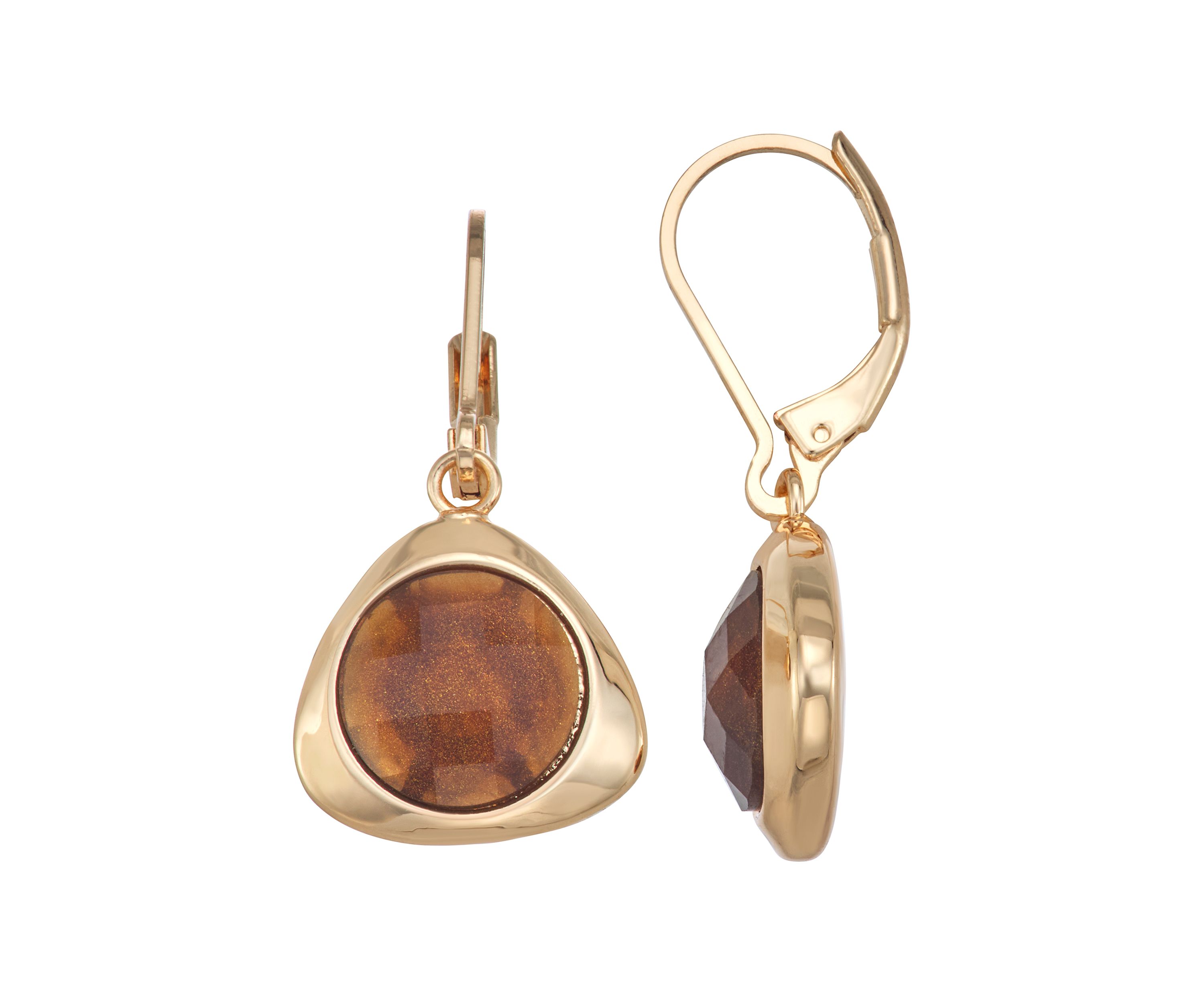 Brown Golden Tonal Drop Earrings