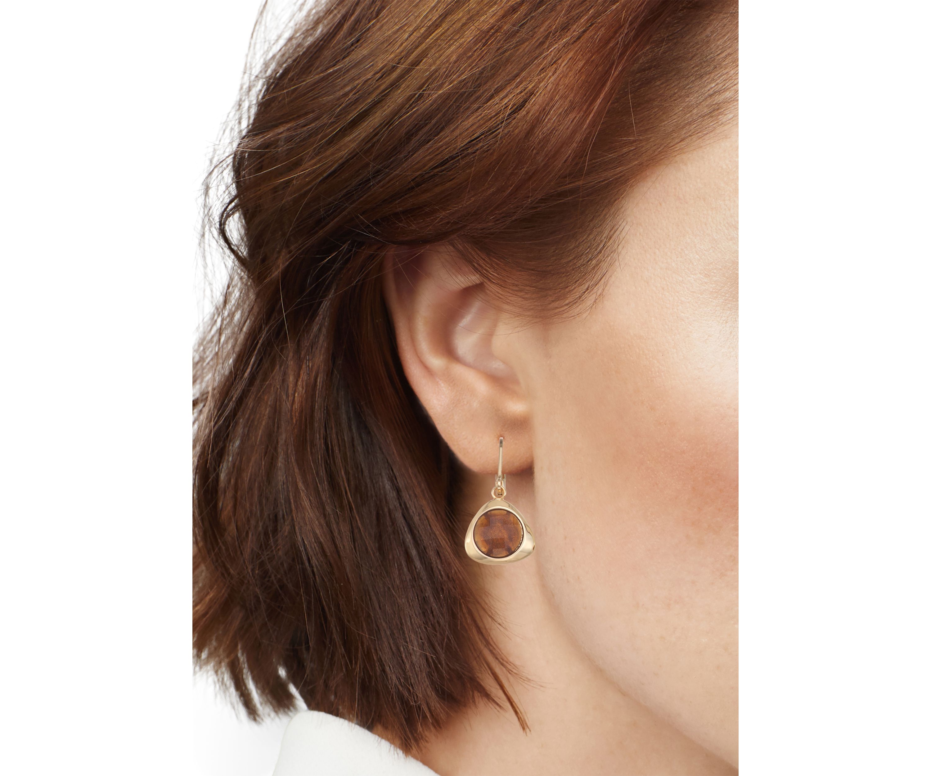 Brown Golden Tonal Drop Earrings