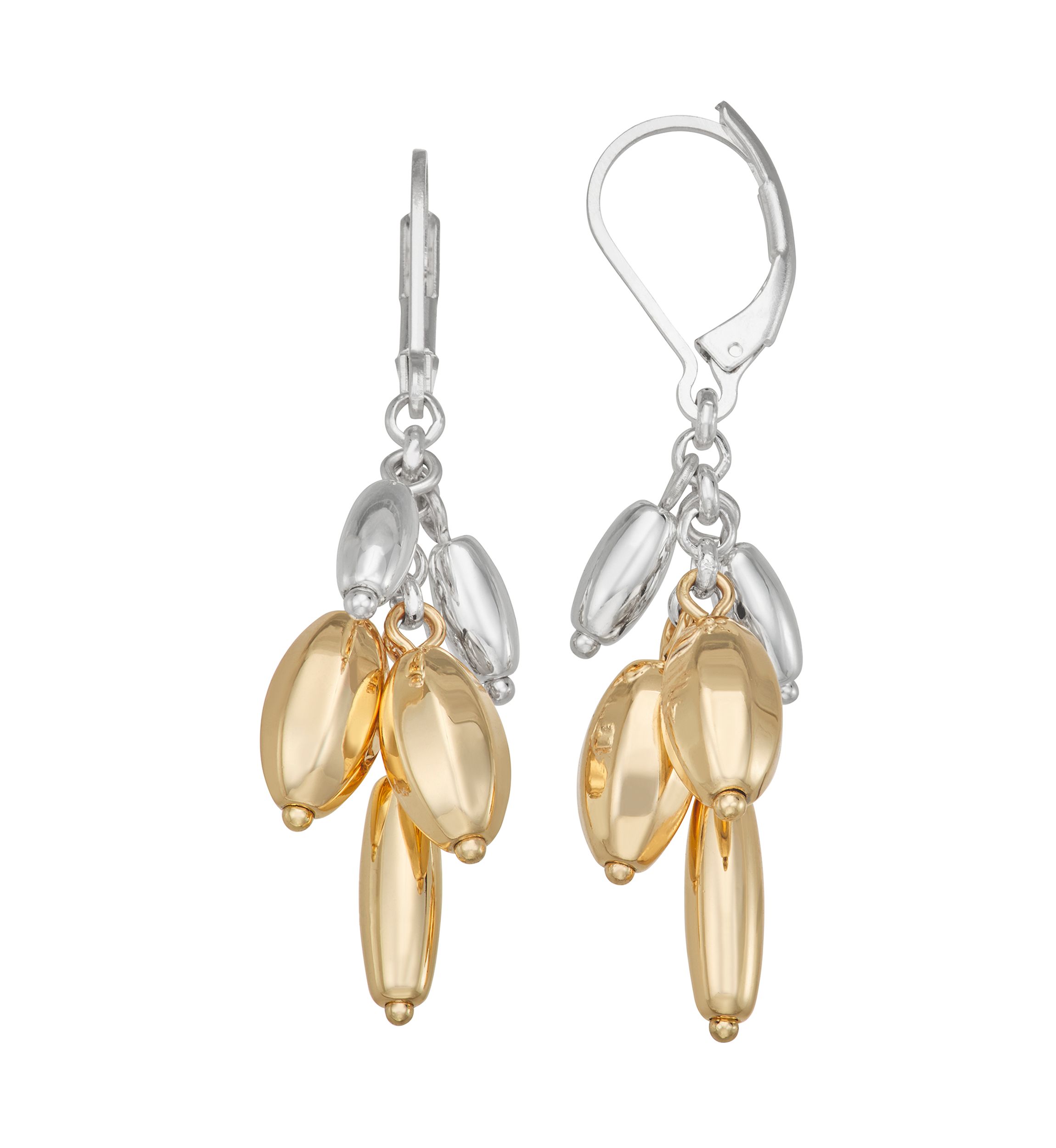Two Tone Long Drop Earrings