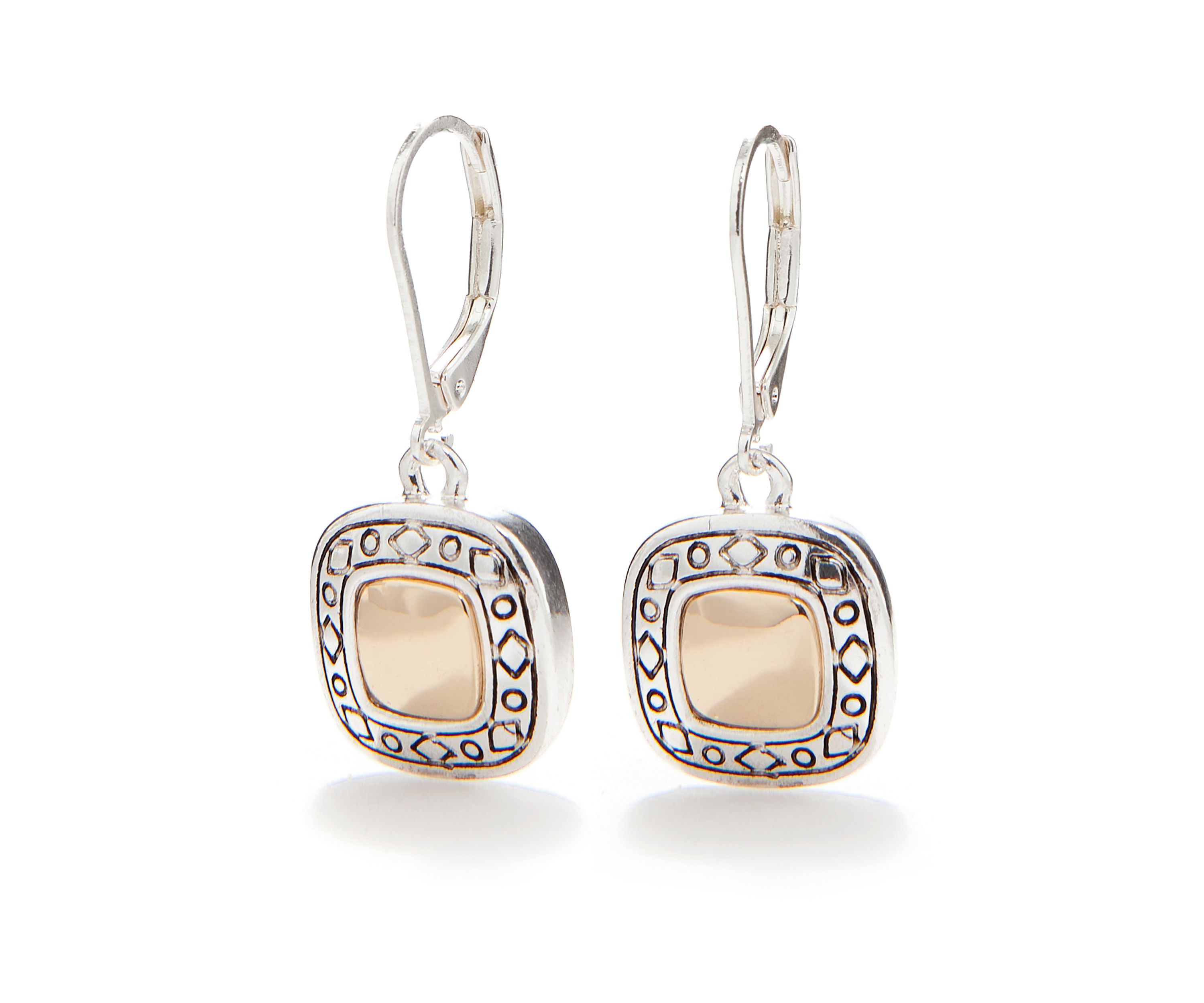Small Lever Back Drop Earrings
