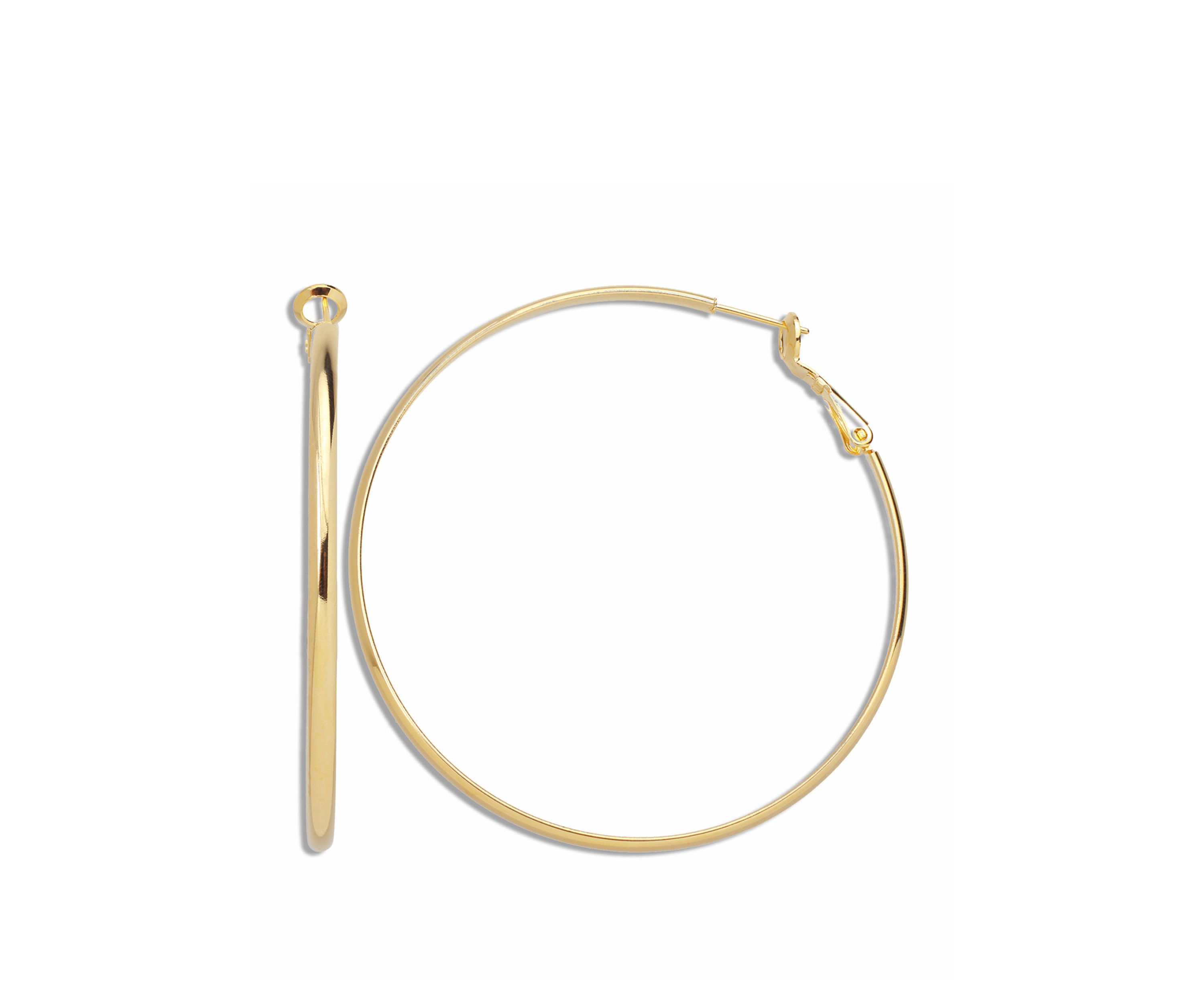 Polished Hoop Paddle Back Earrings 