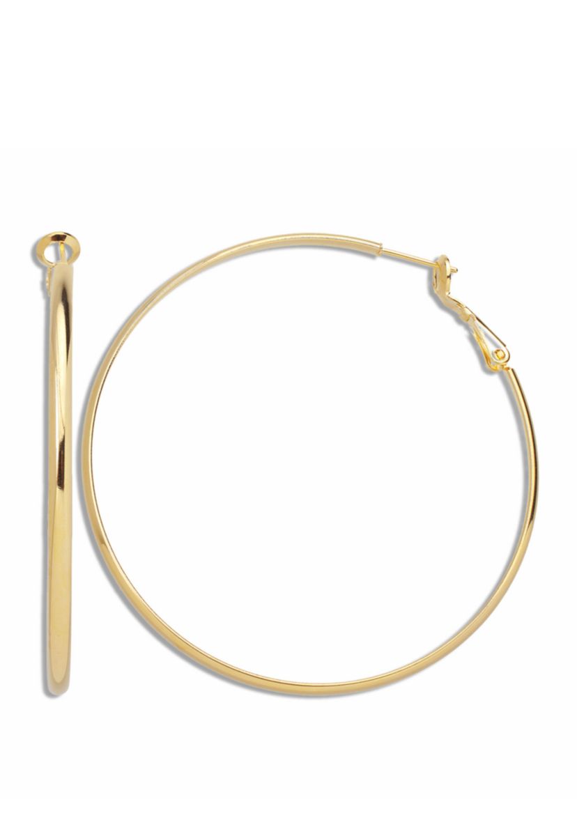Polished Hoop Paddle Back Earrings 