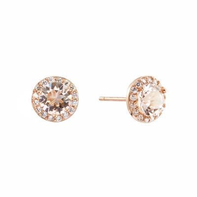 Belk Silverworks Rose Gold Over Sterling Silver Crystal and Cubic Zirconia Halo Stud Earrings
