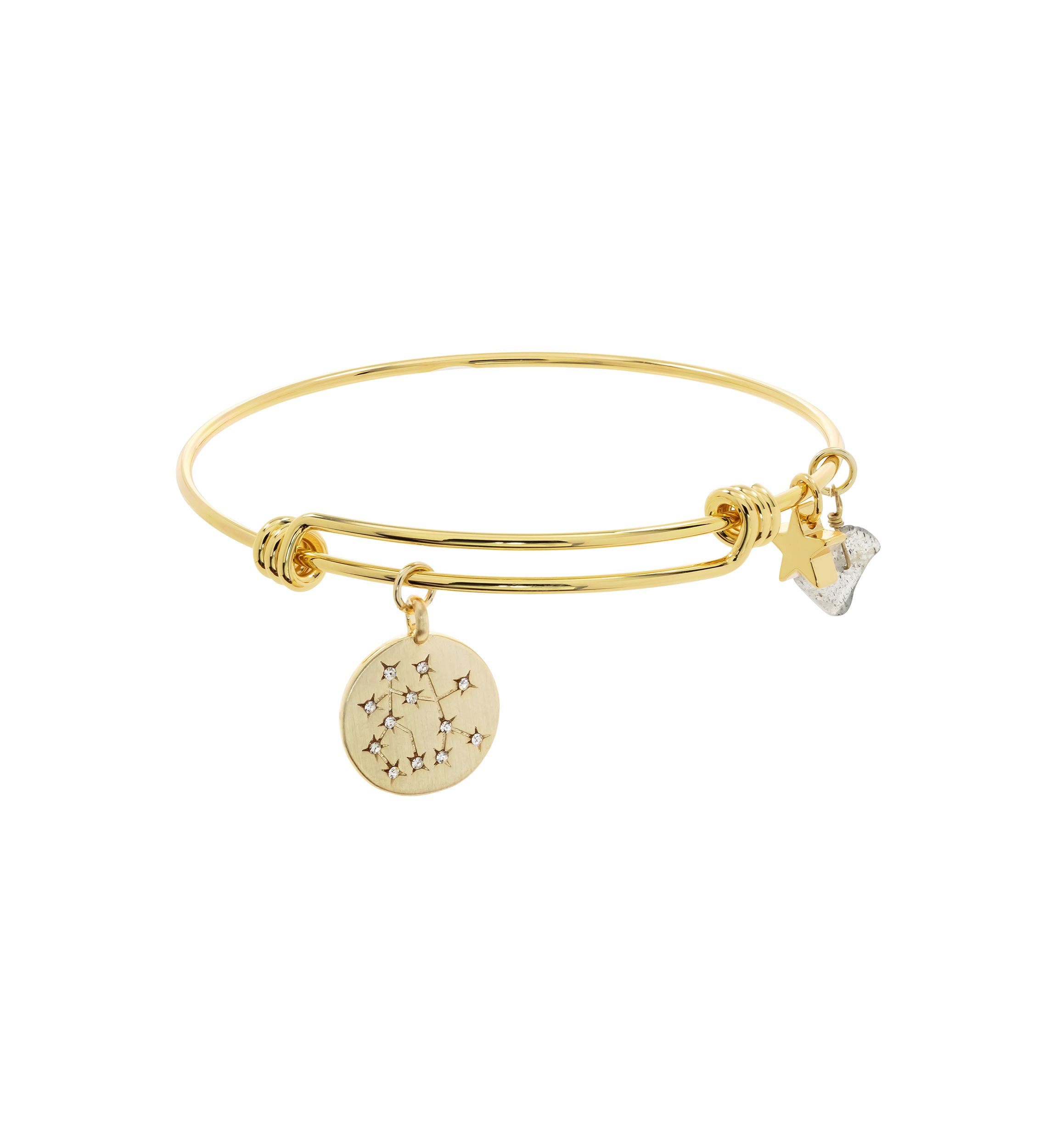  Zodiac Adjustable Boxed Bracelet 