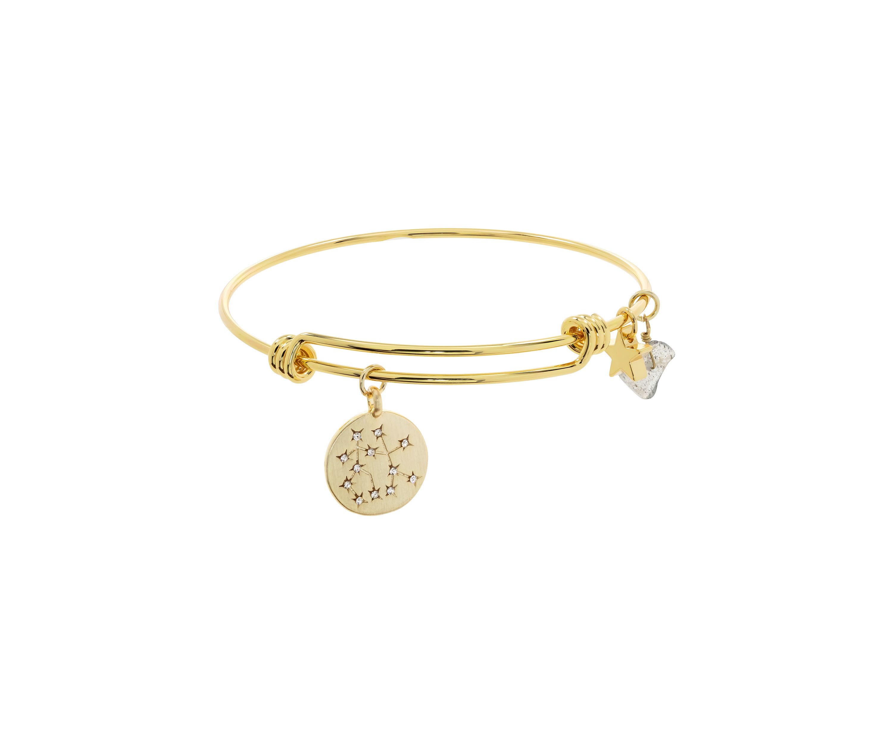  Zodiac Adjustable Boxed Bracelet 