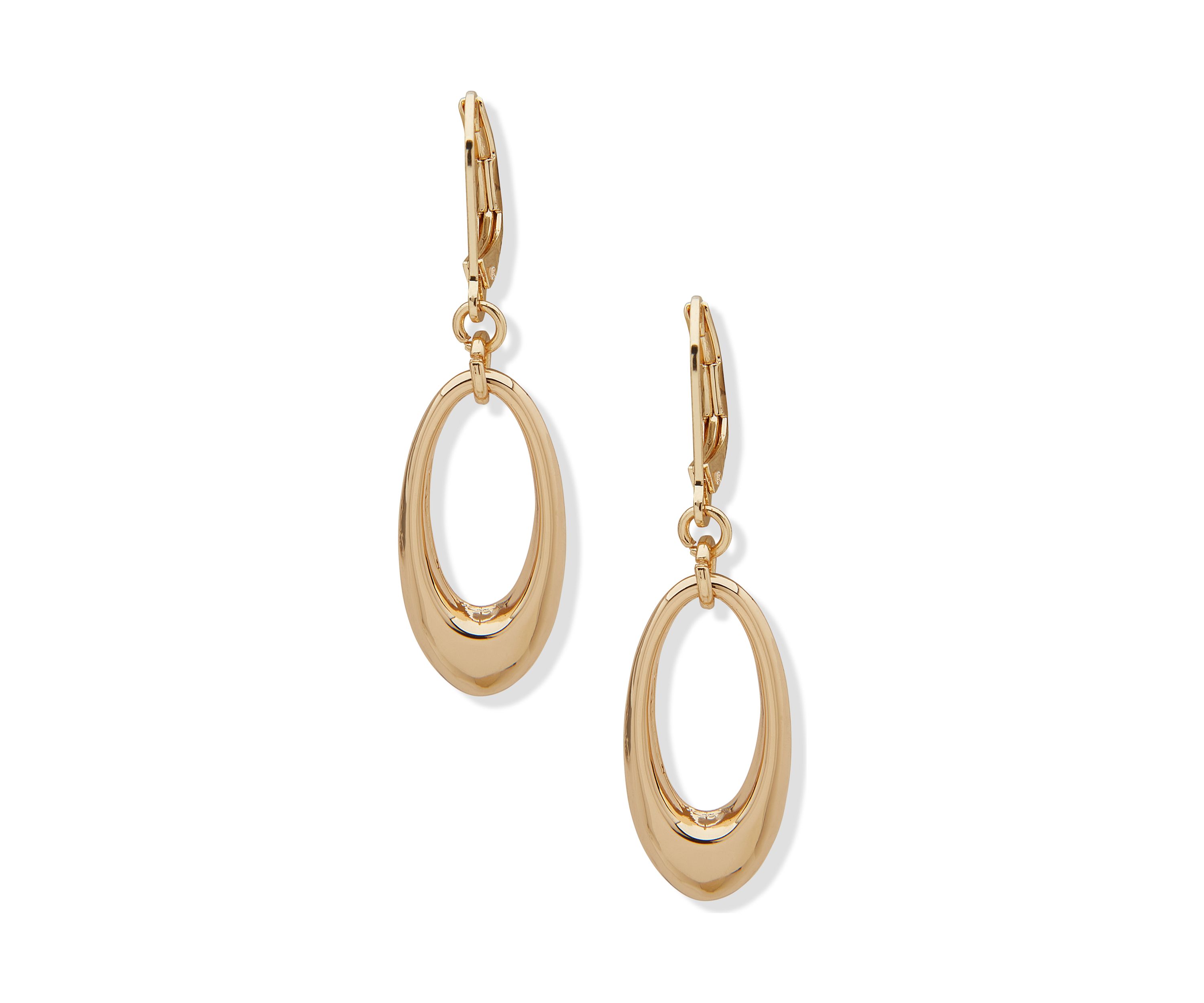 Gold Tone Tapered Orbit Drop Lever Back Earrings