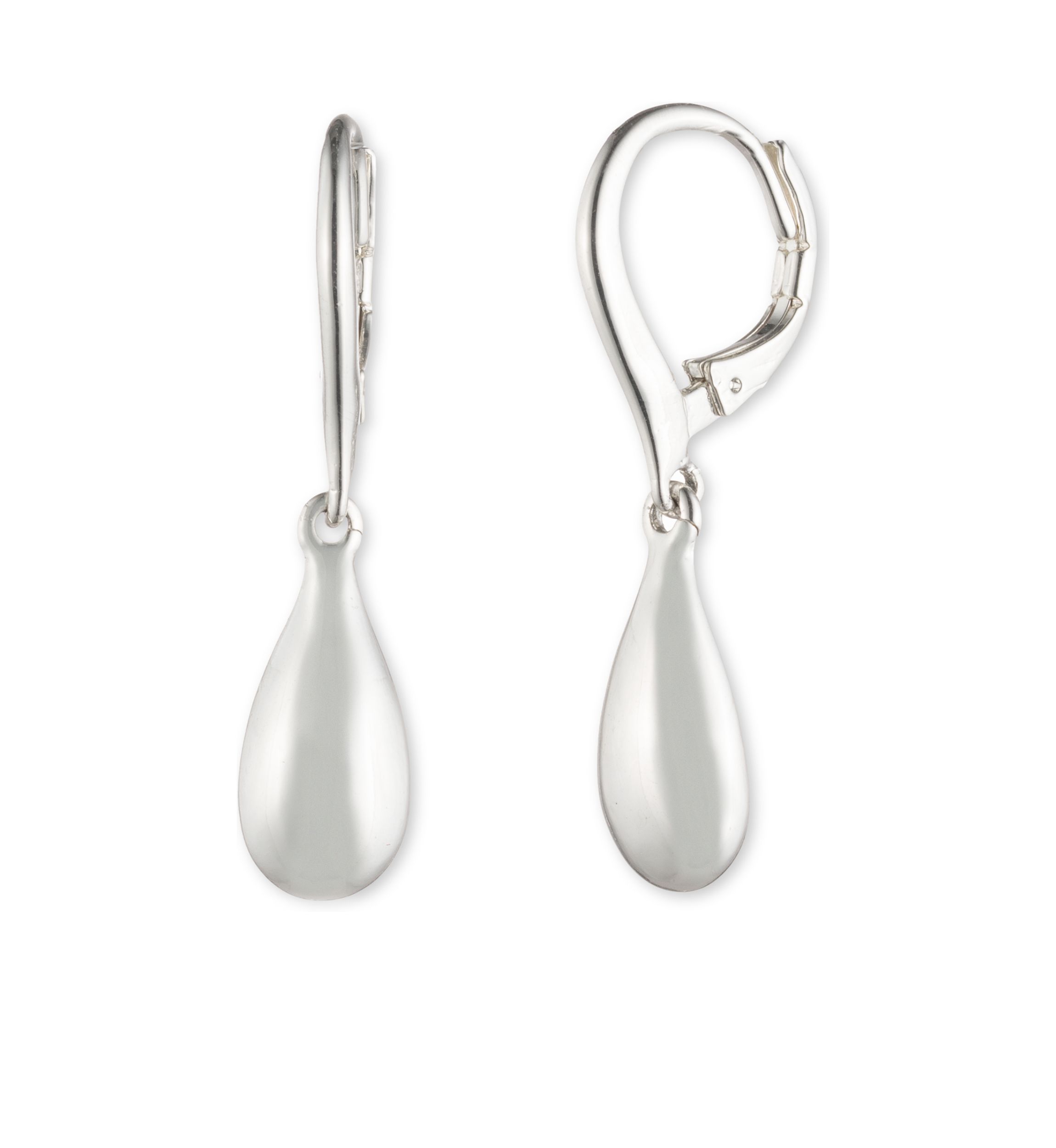 Gold Tone Lever Back Earrings