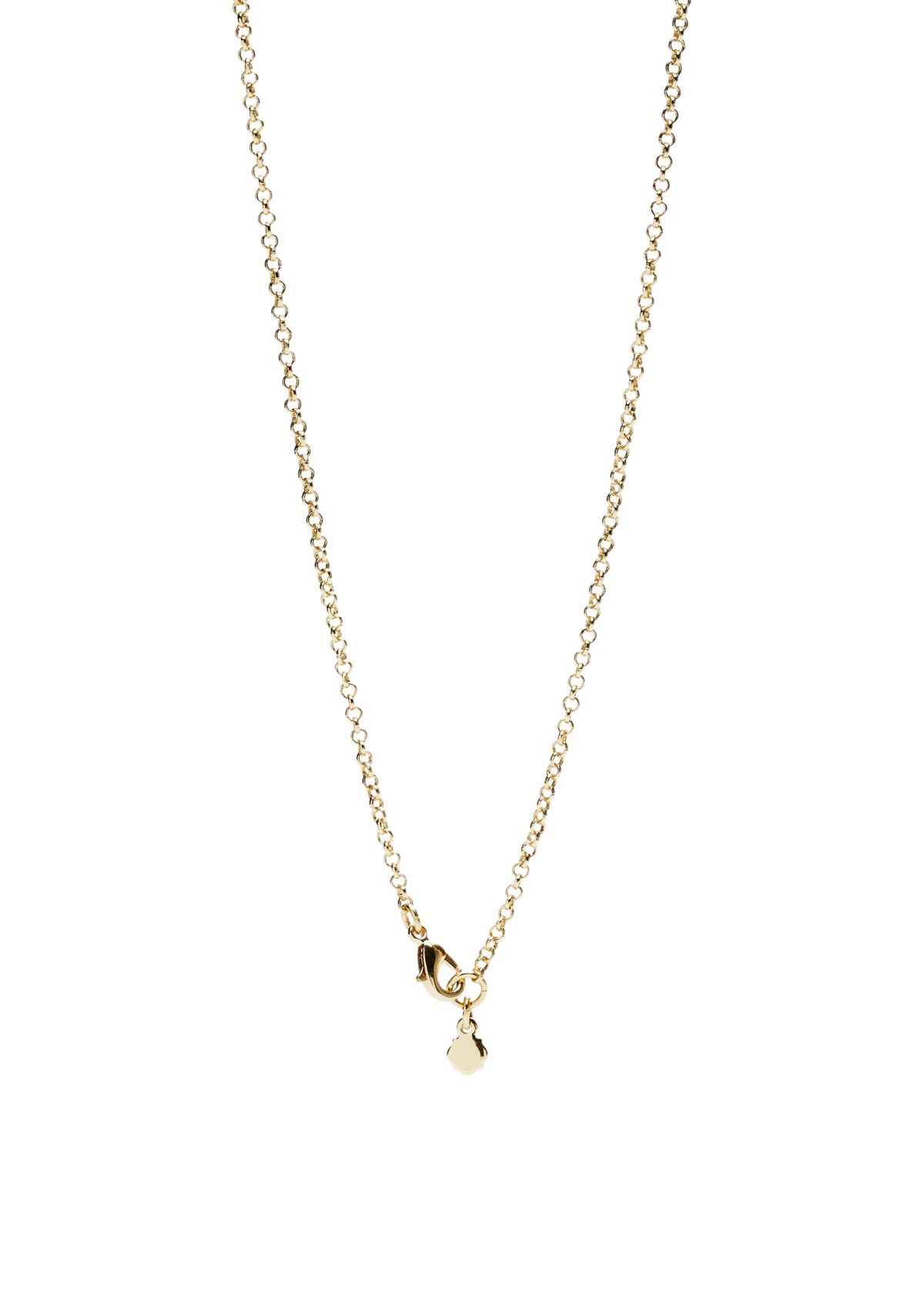Gold Tone 36" Tortoise Necklace